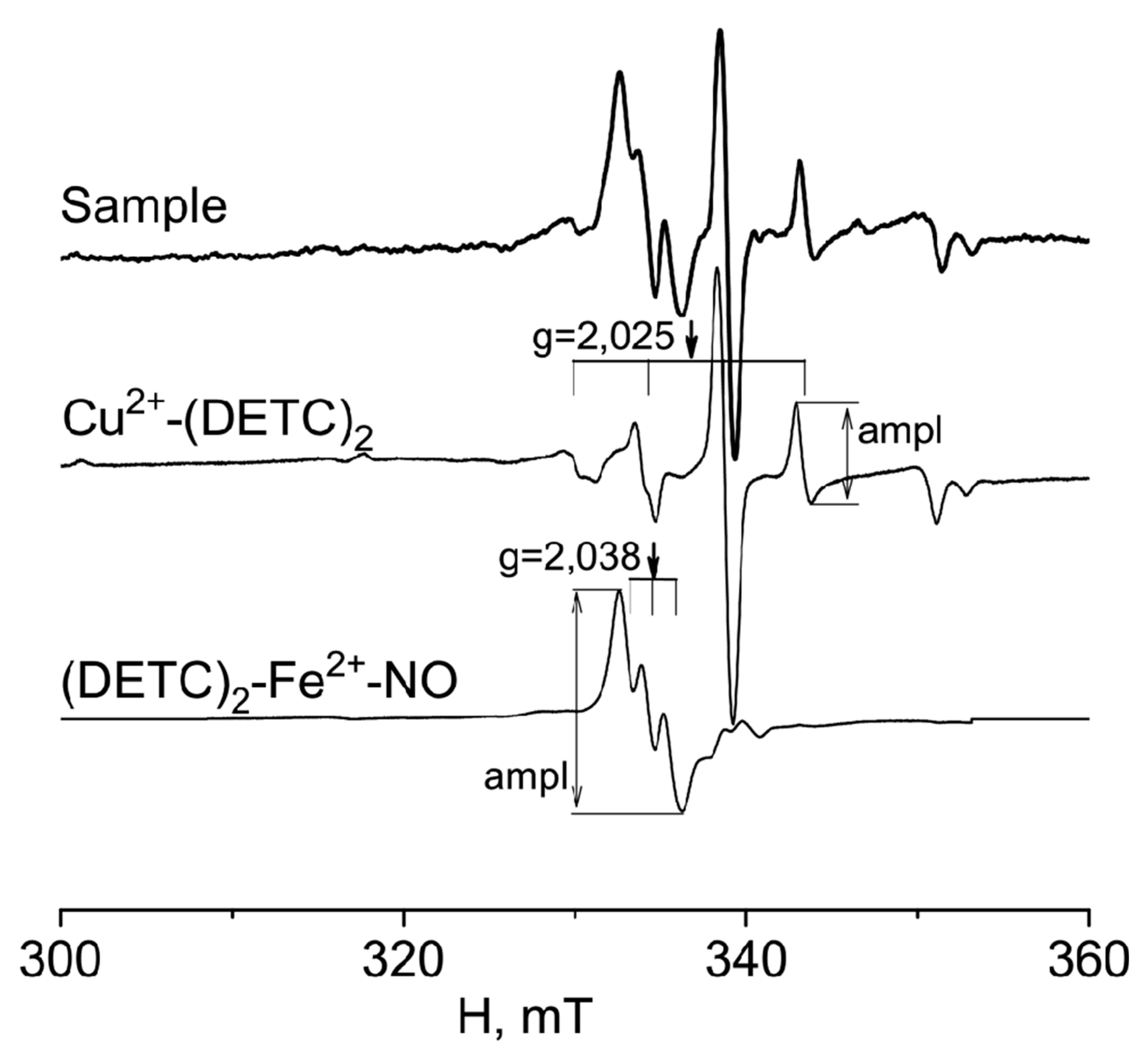 Preprints 85725 g001