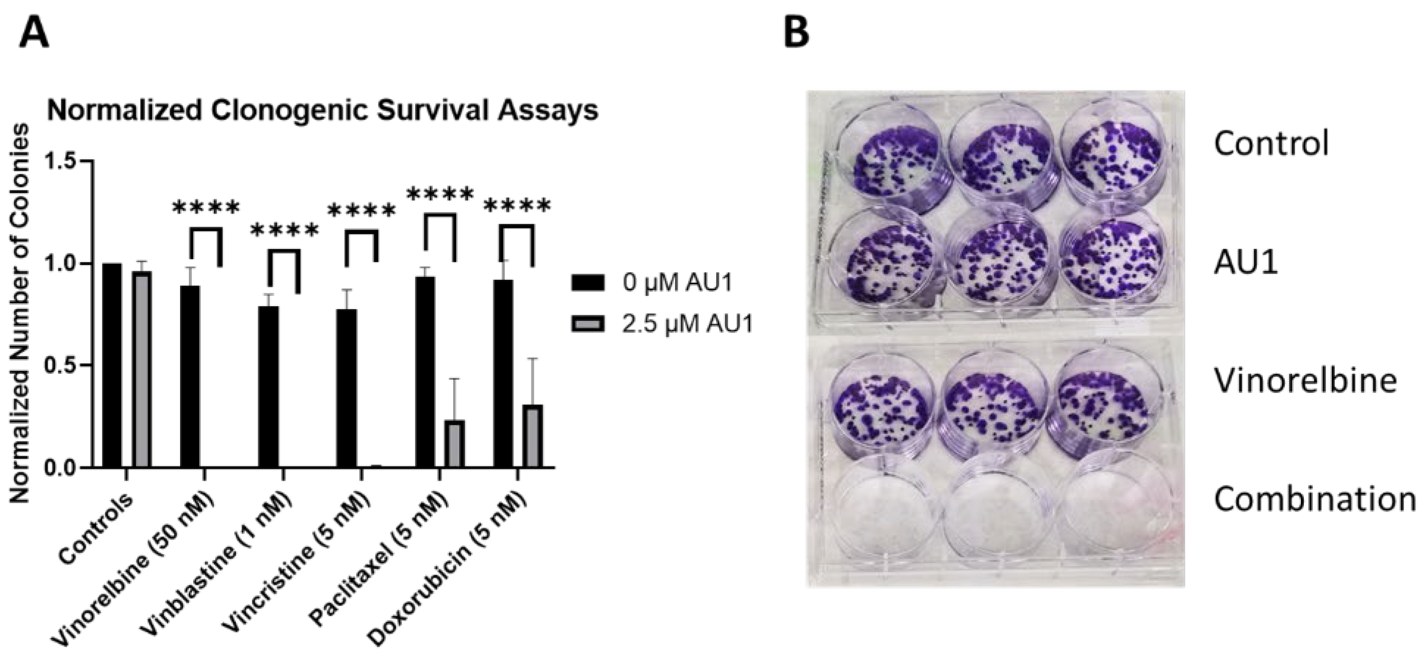 Preprints 109028 g004