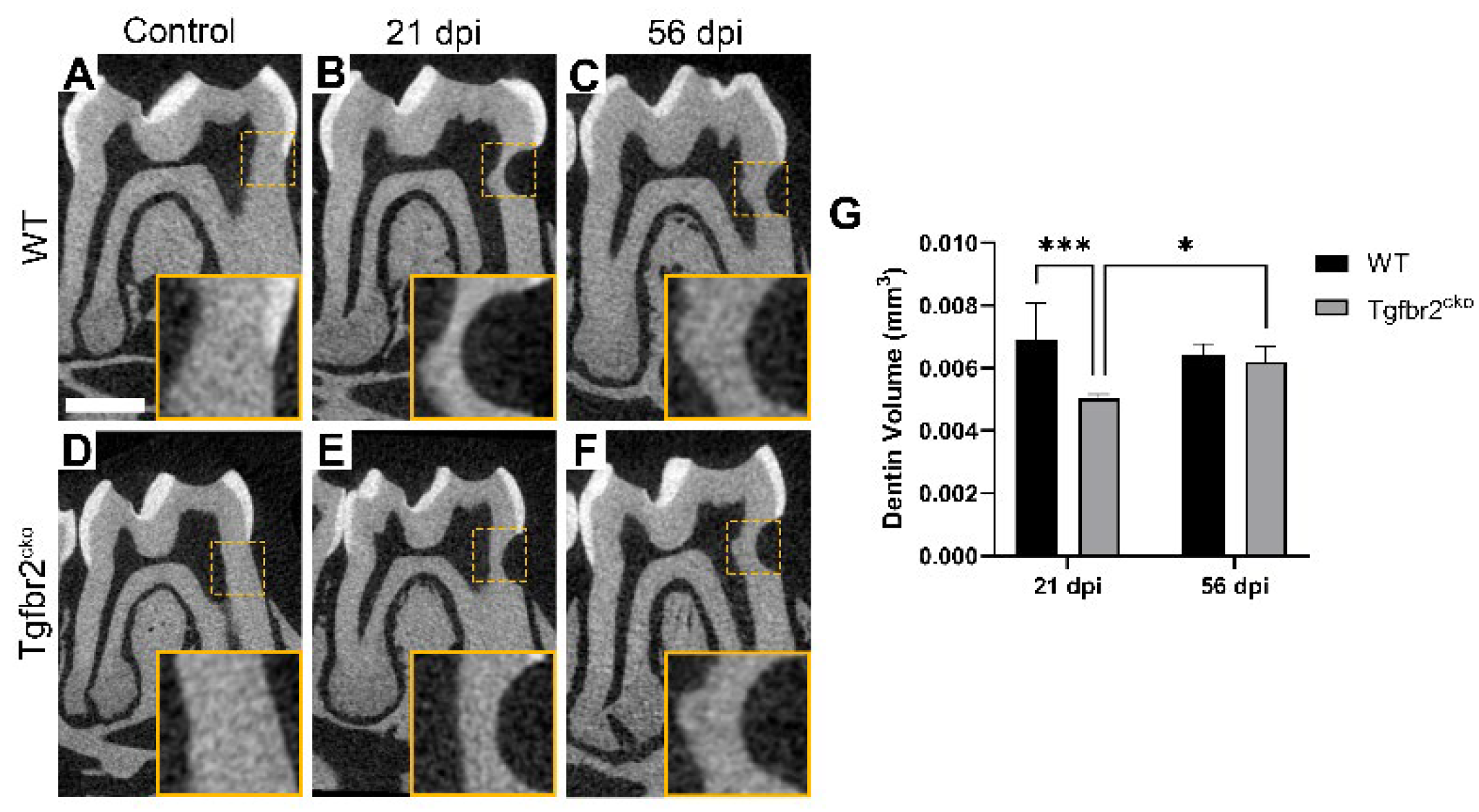 Preprints 106816 g004