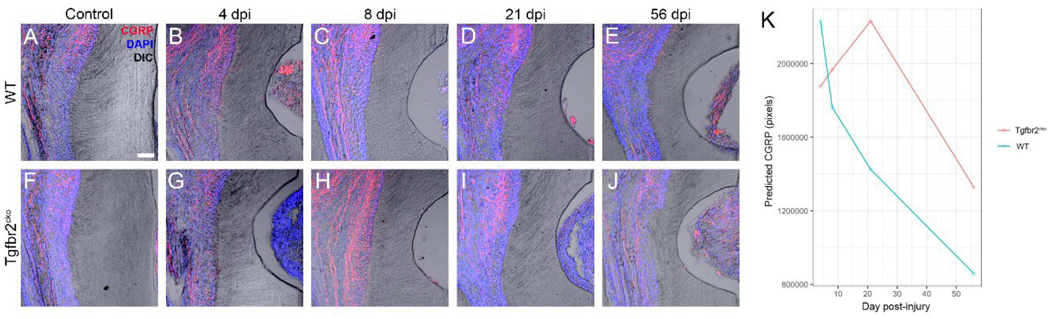 Preprints 106816 g005