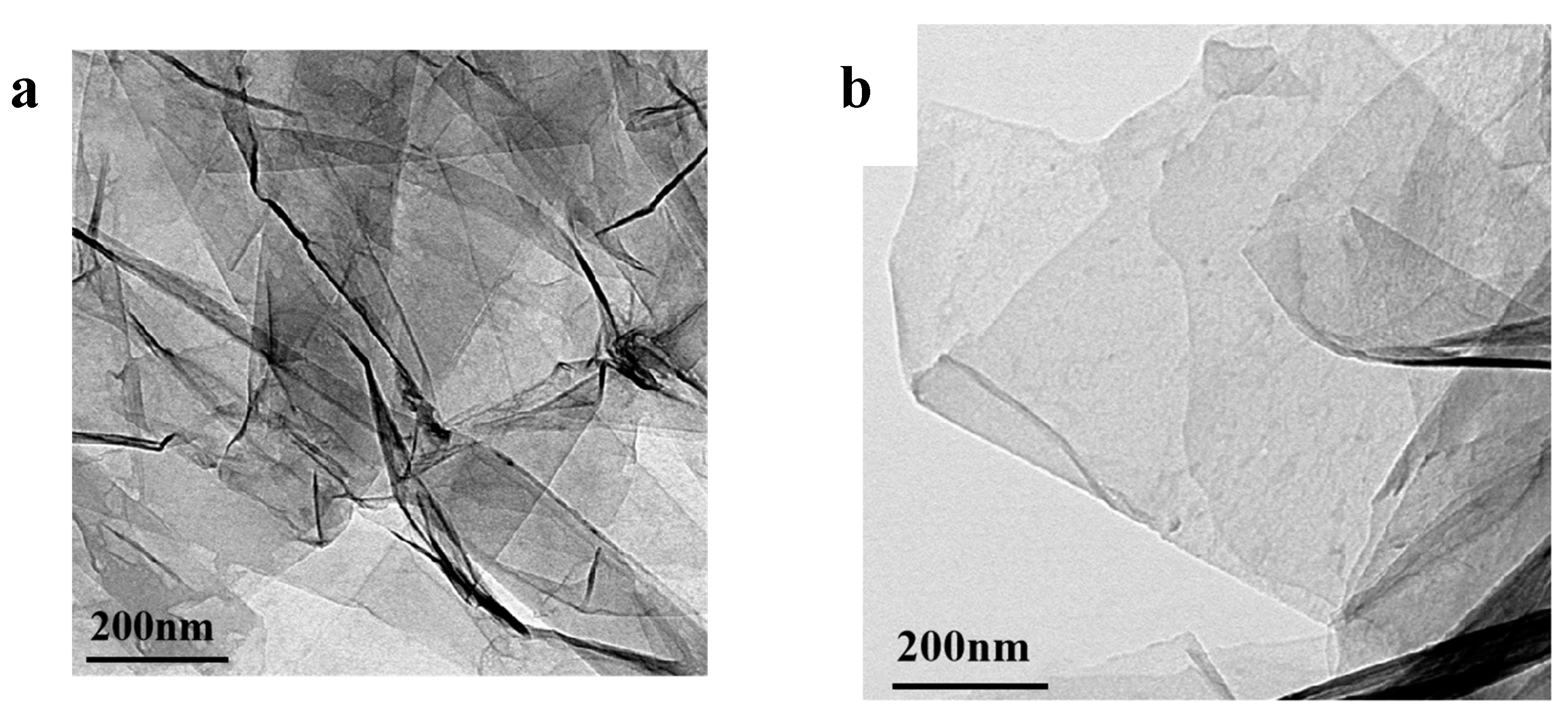 Preprints 90061 g007