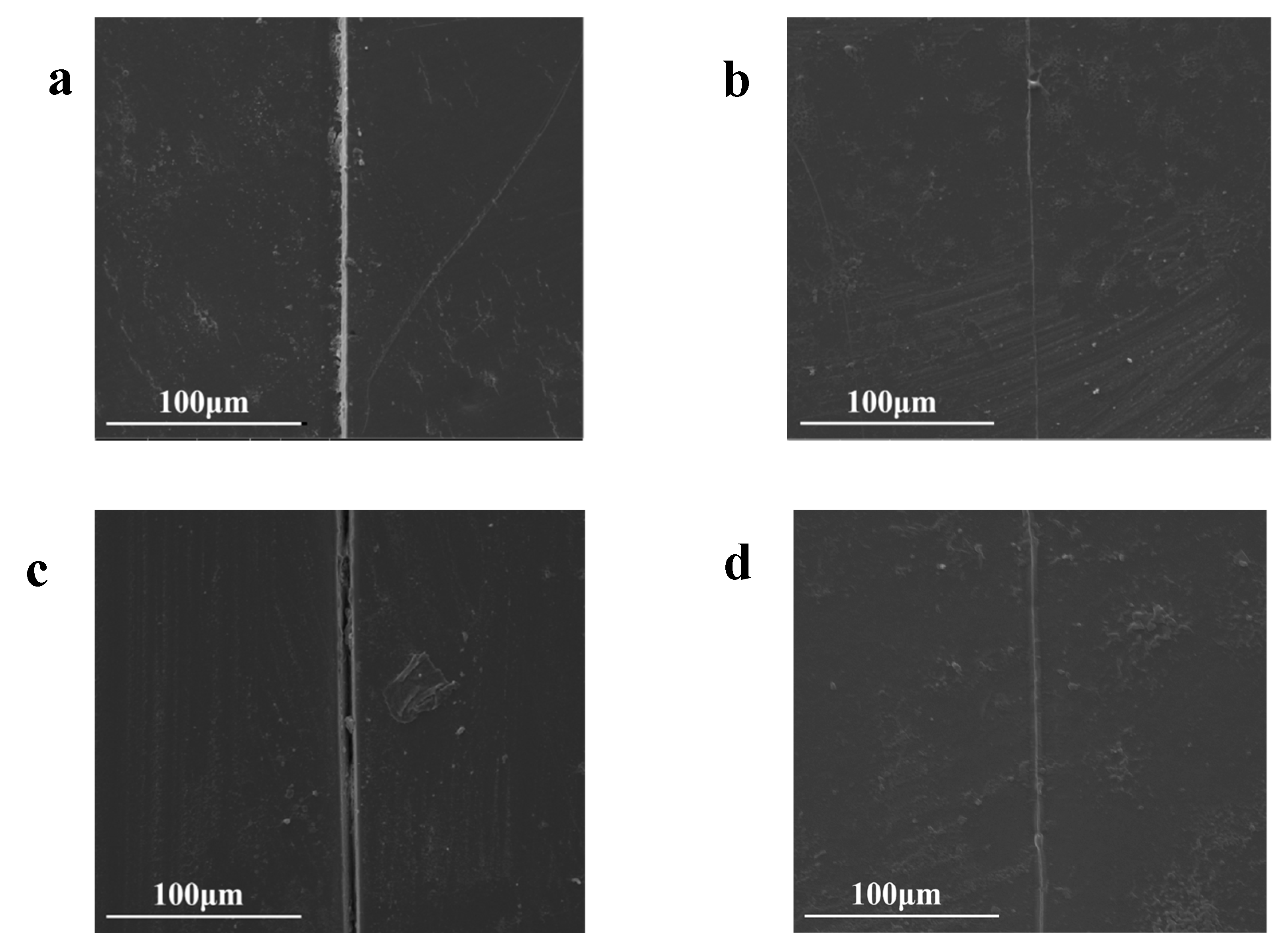 Preprints 90061 g012