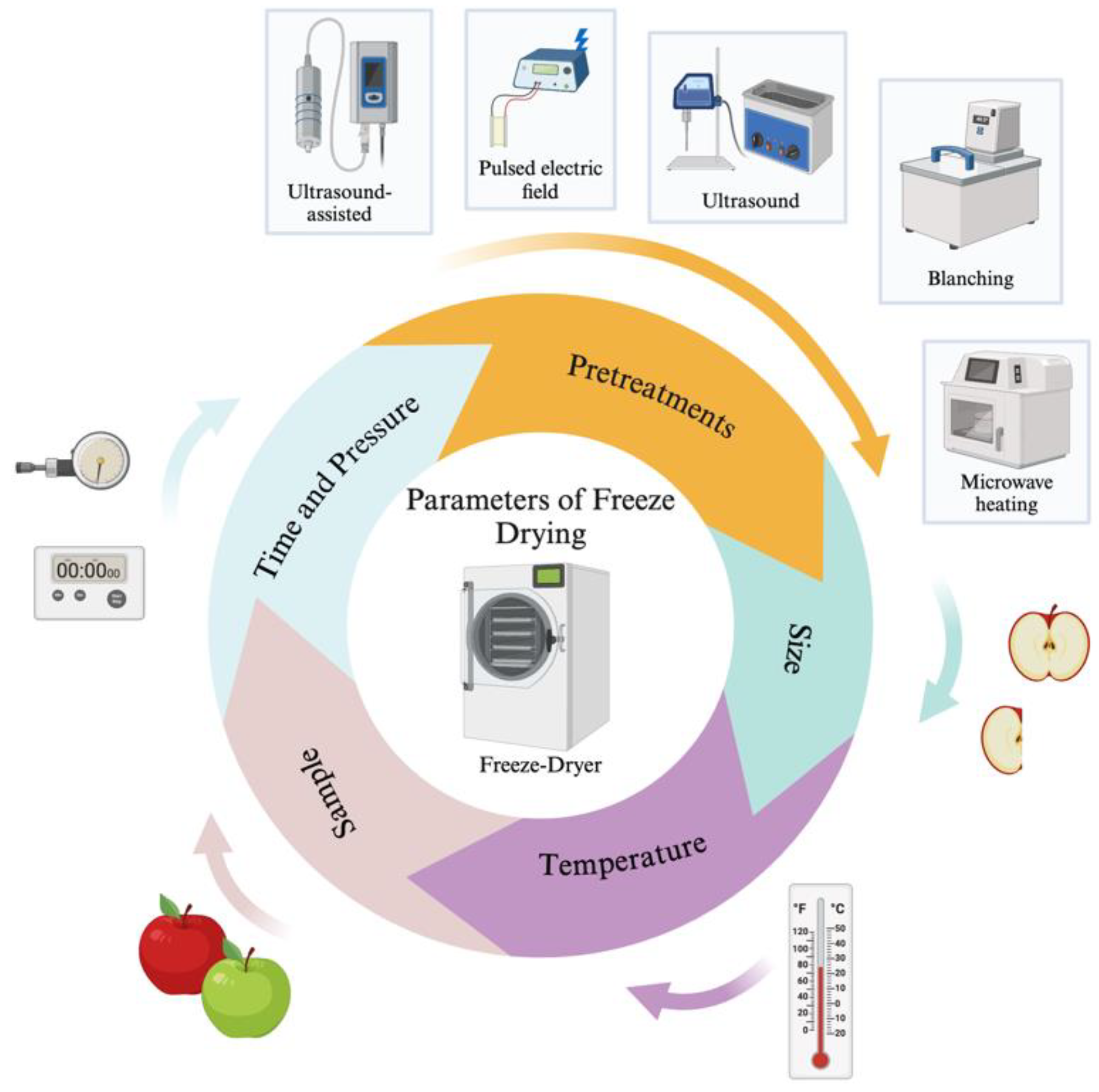 Preprints 117914 g002