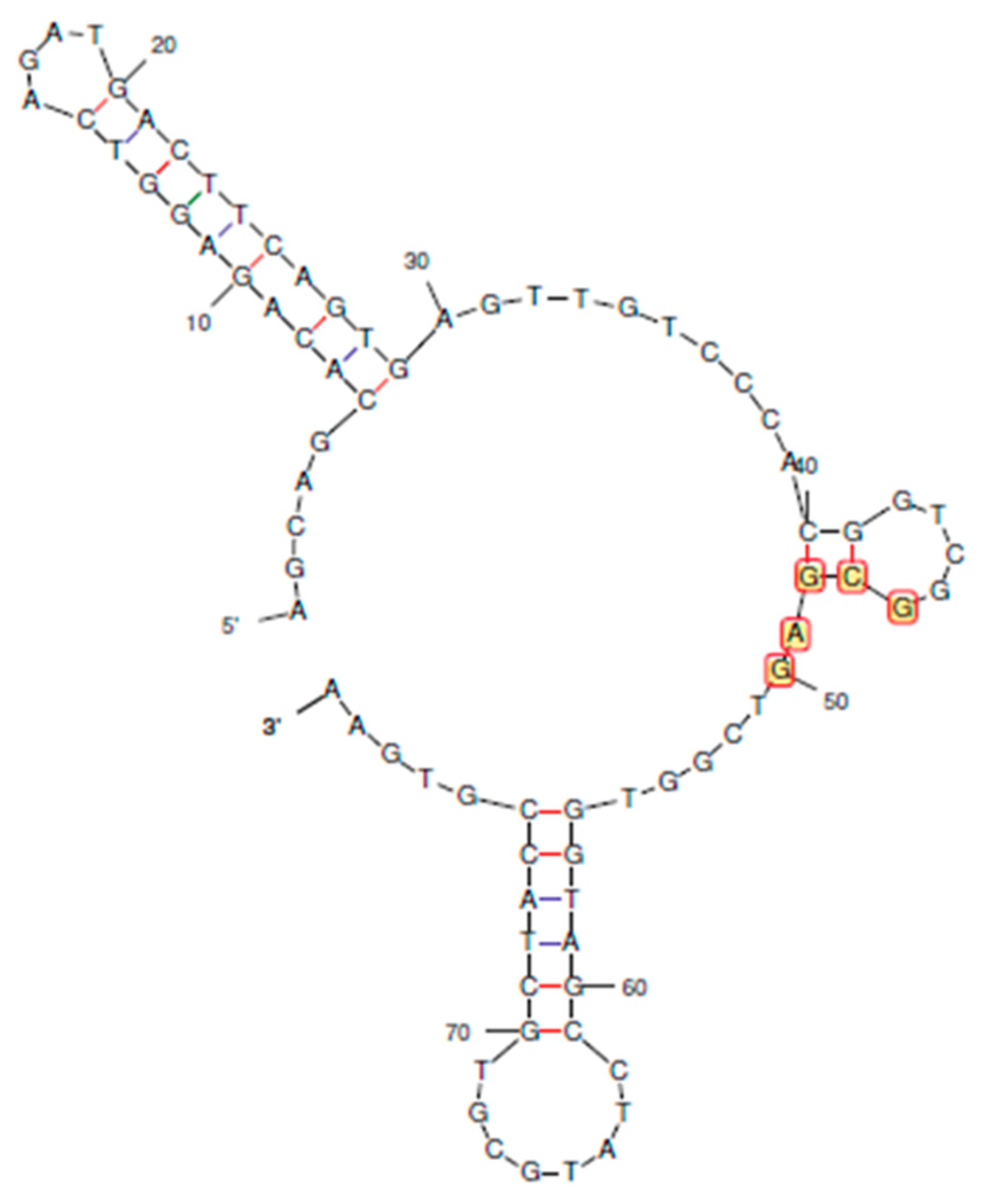 Preprints 72207 g001