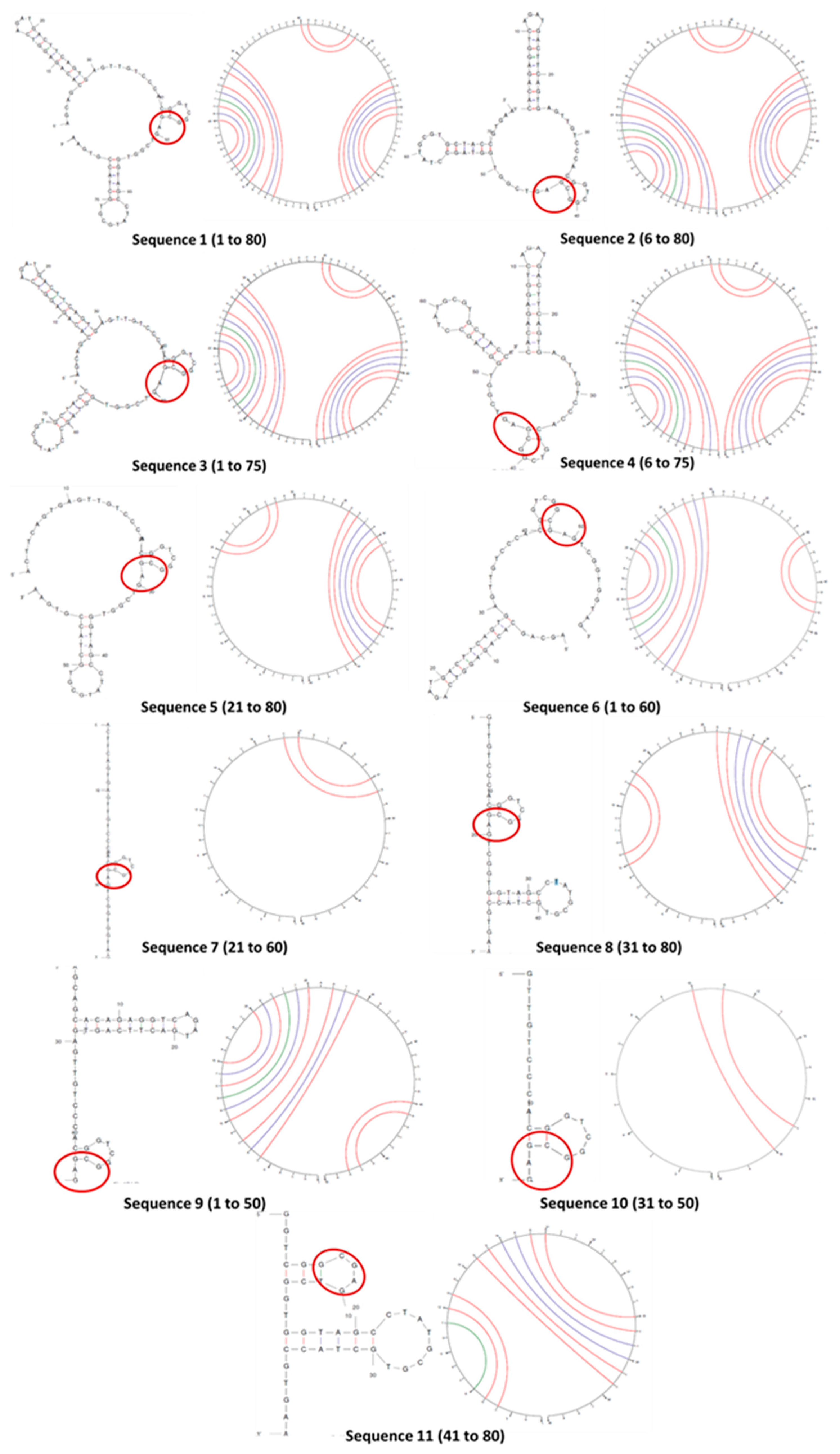 Preprints 72207 g002