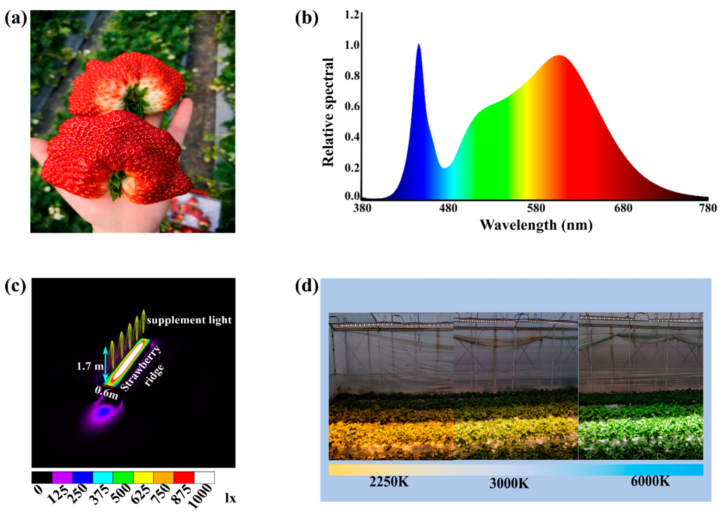 Preprints 89951 g001