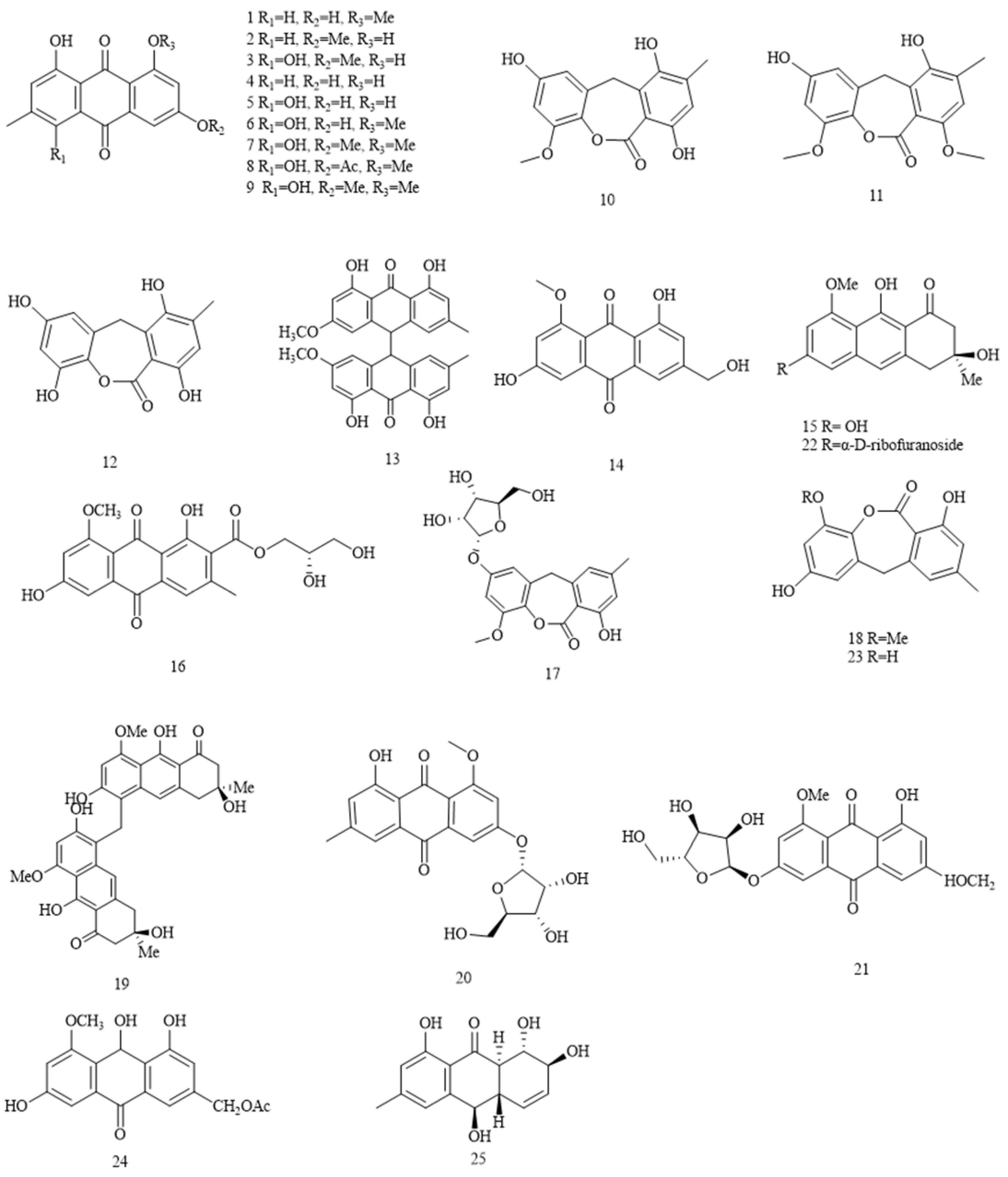 Preprints 88914 g001