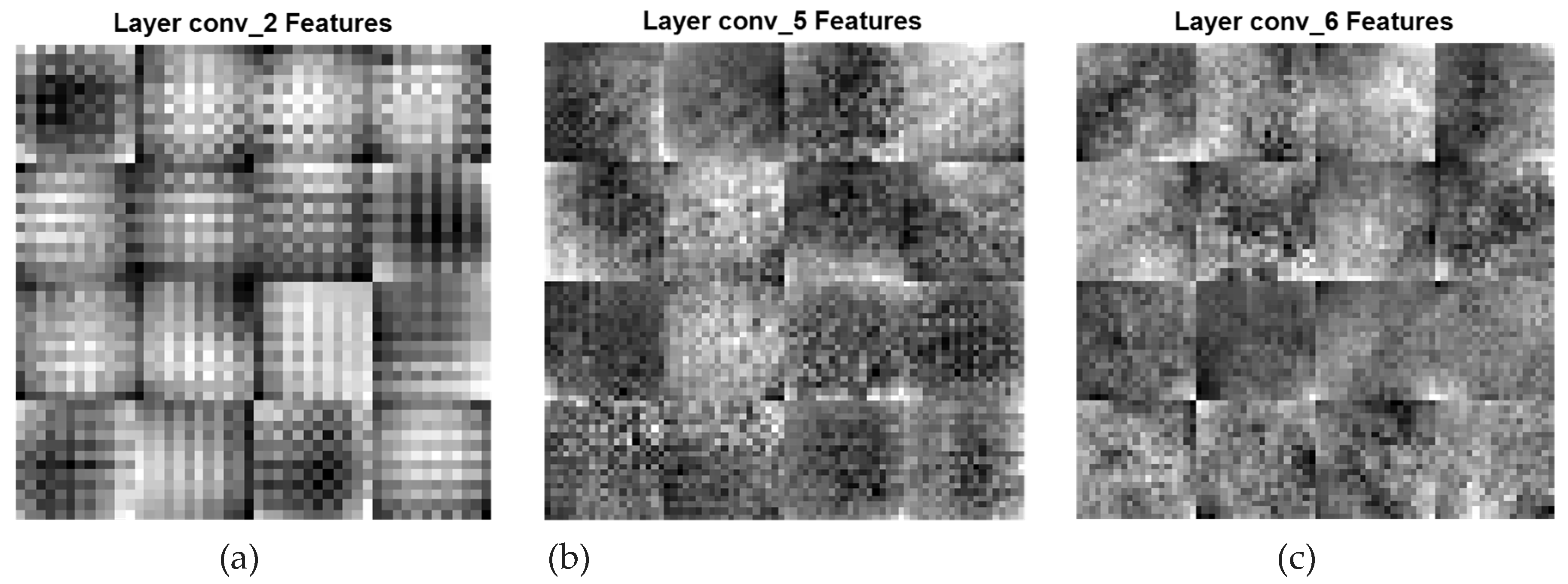 Preprints 105447 g006