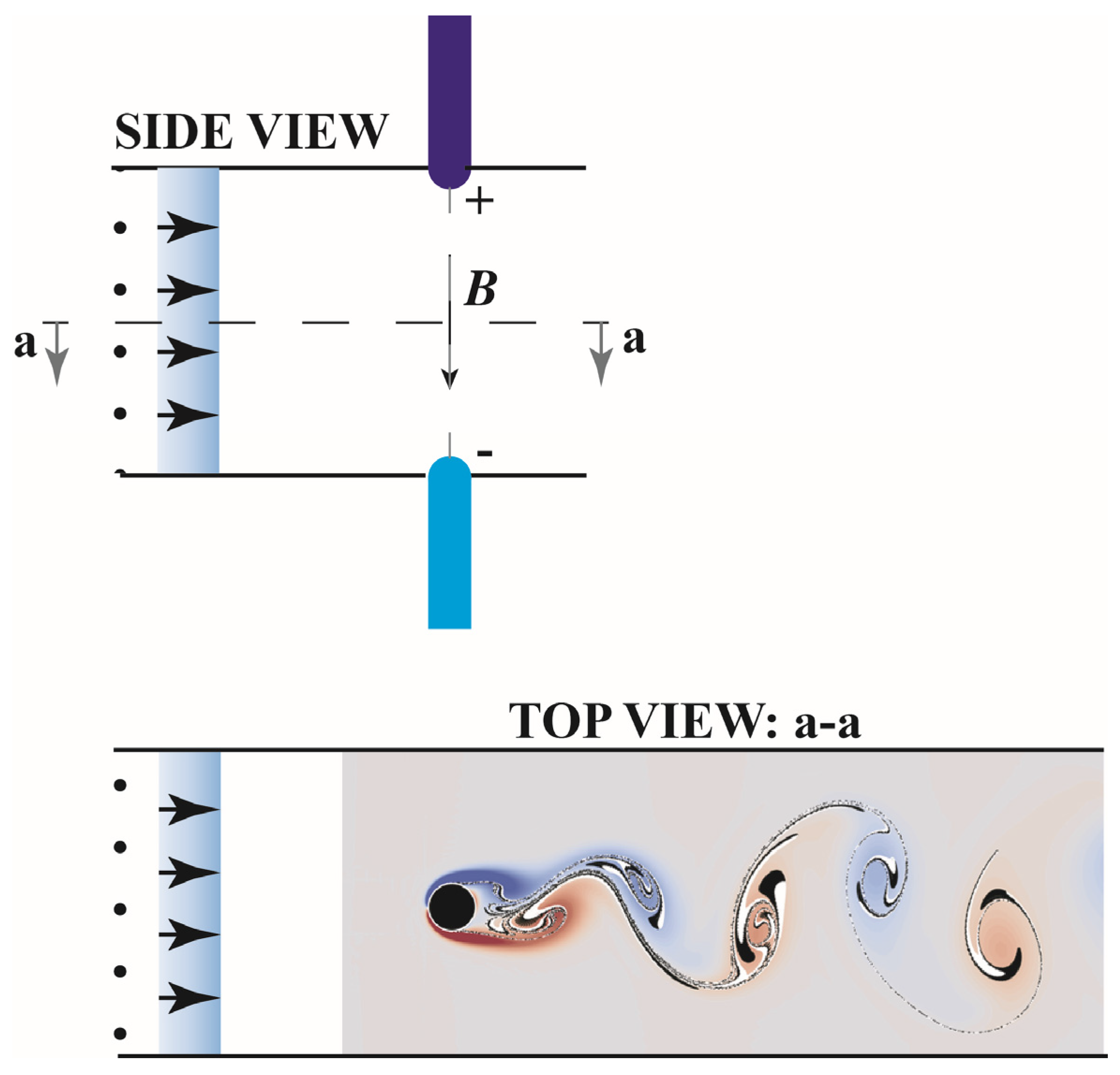 Preprints 118286 g003