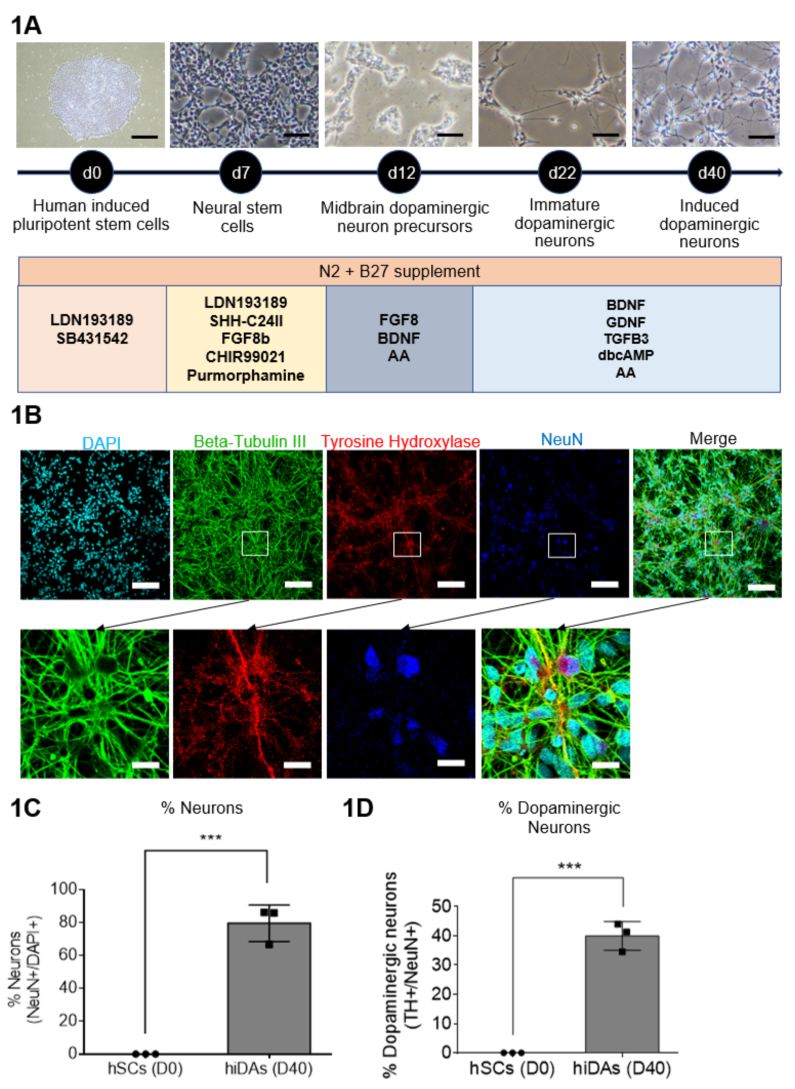 Preprints 105558 g001