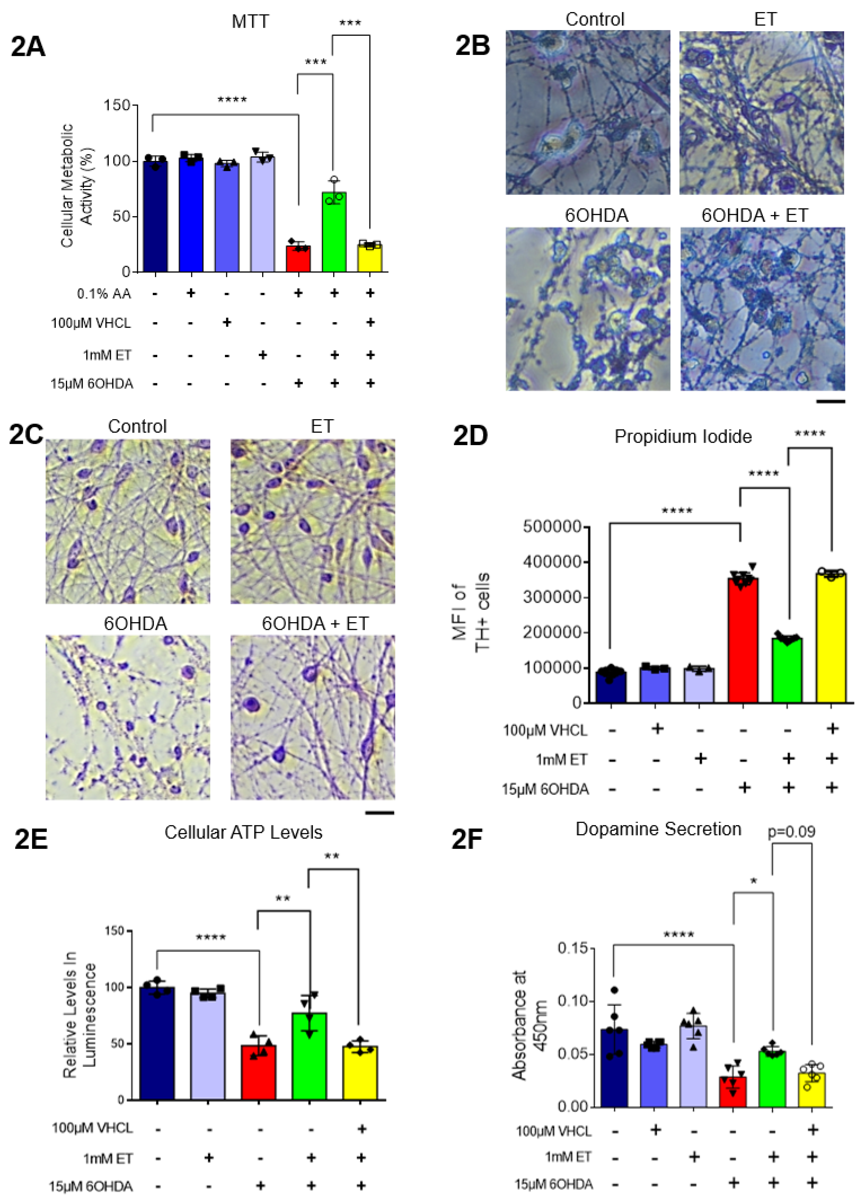 Preprints 105558 g002