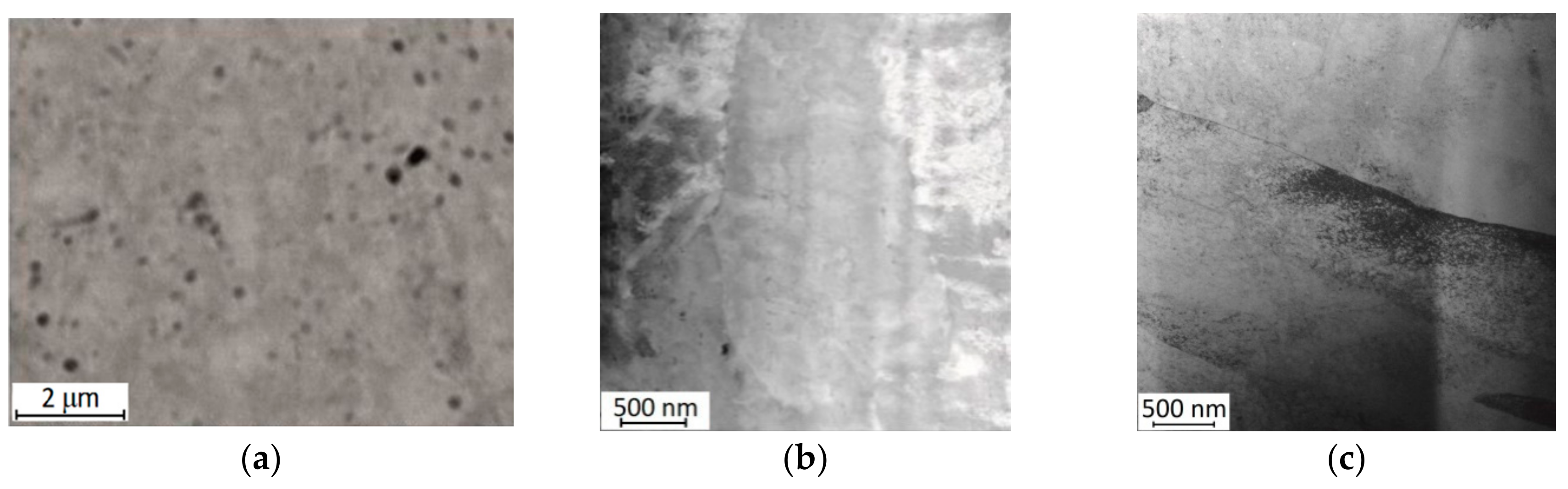 Preprints 104067 g007