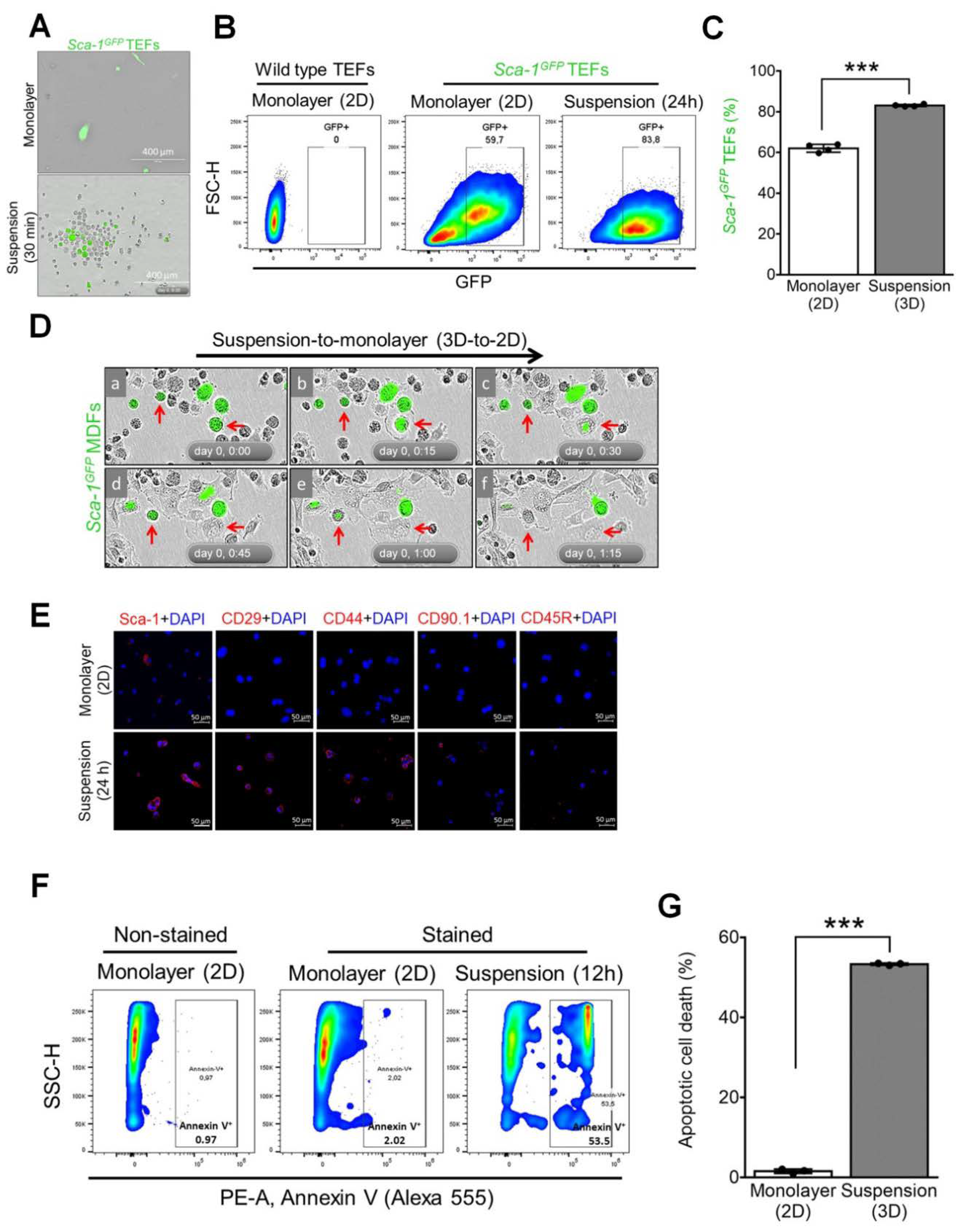 Preprints 76455 g001