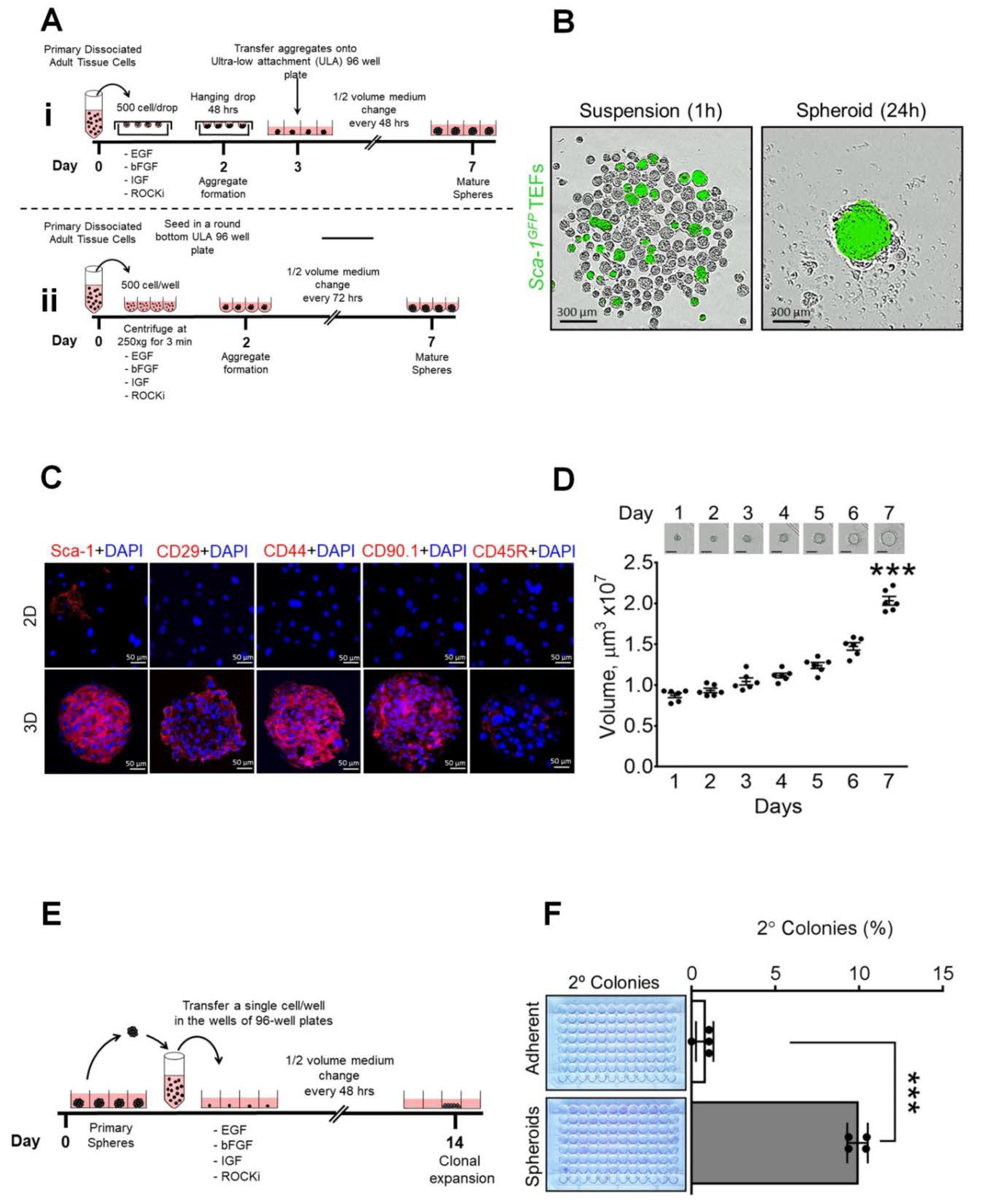 Preprints 76455 g002