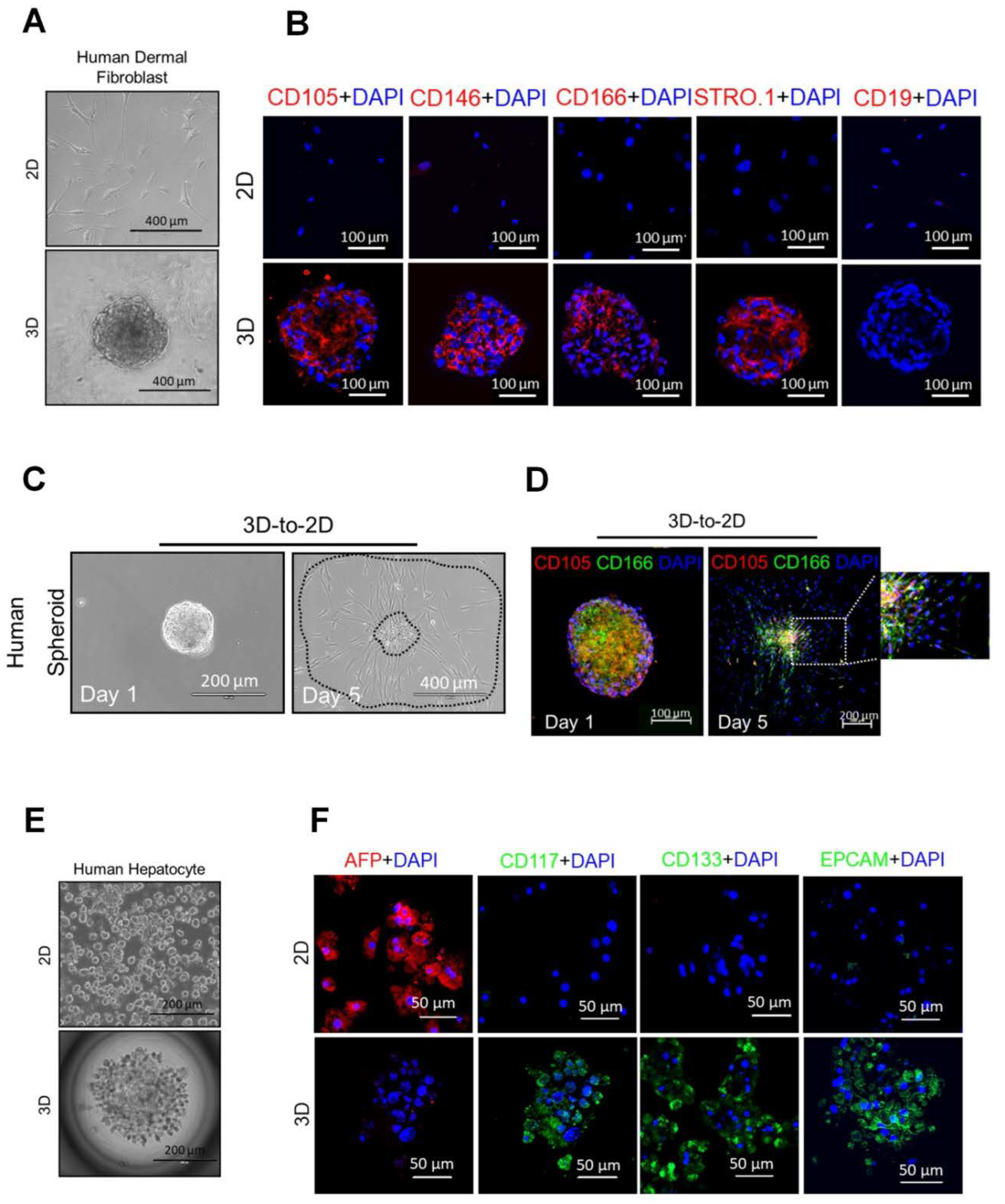 Preprints 76455 g005