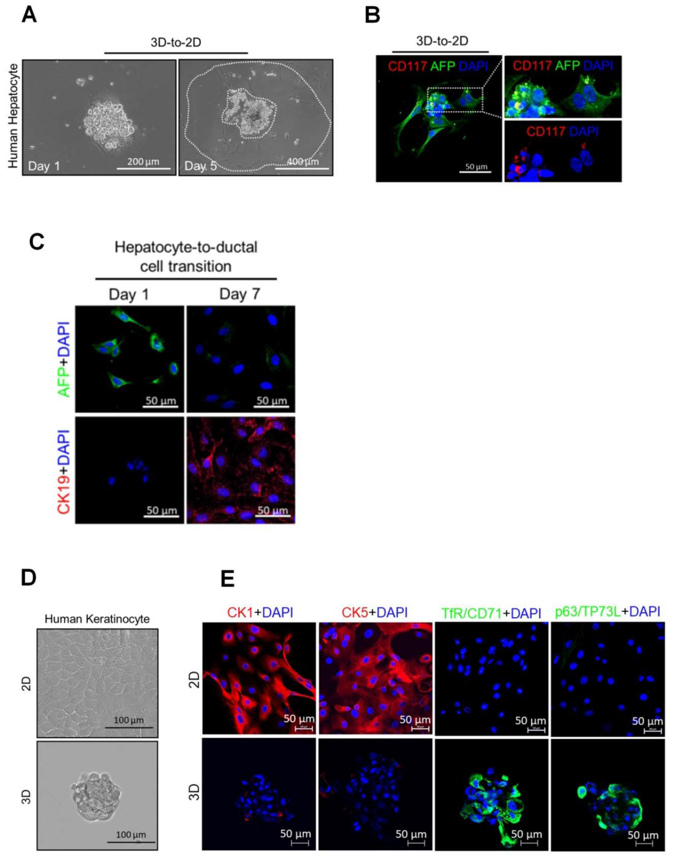 Preprints 76455 g006