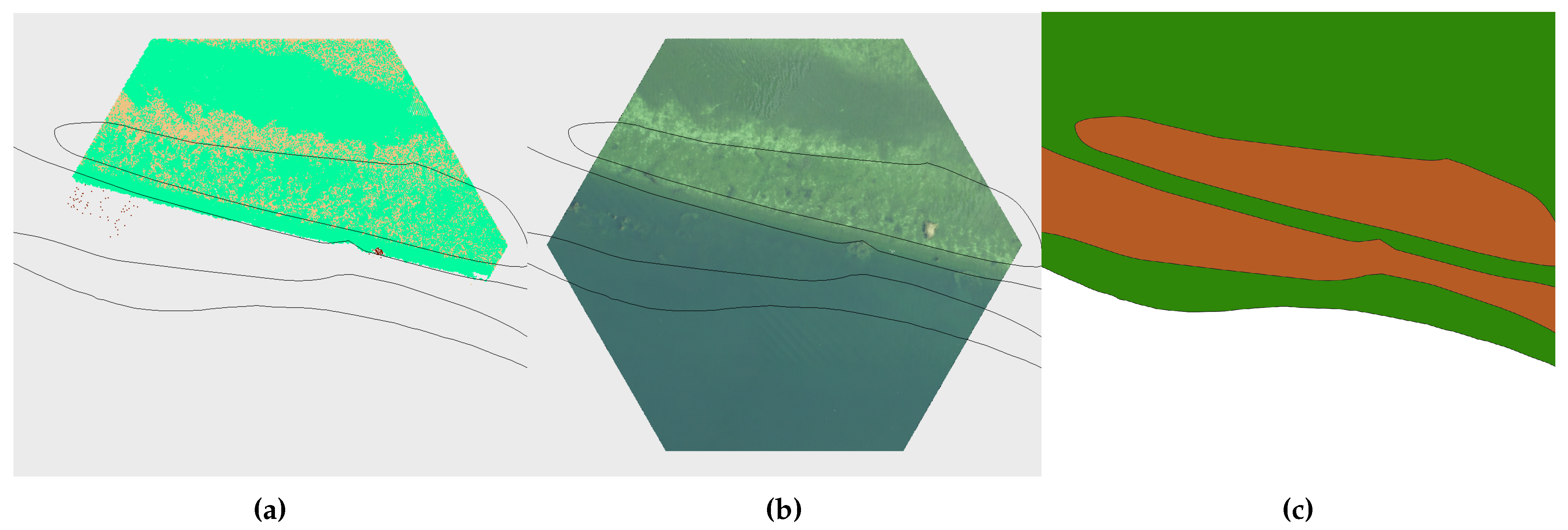 Preprints 106837 g0a10