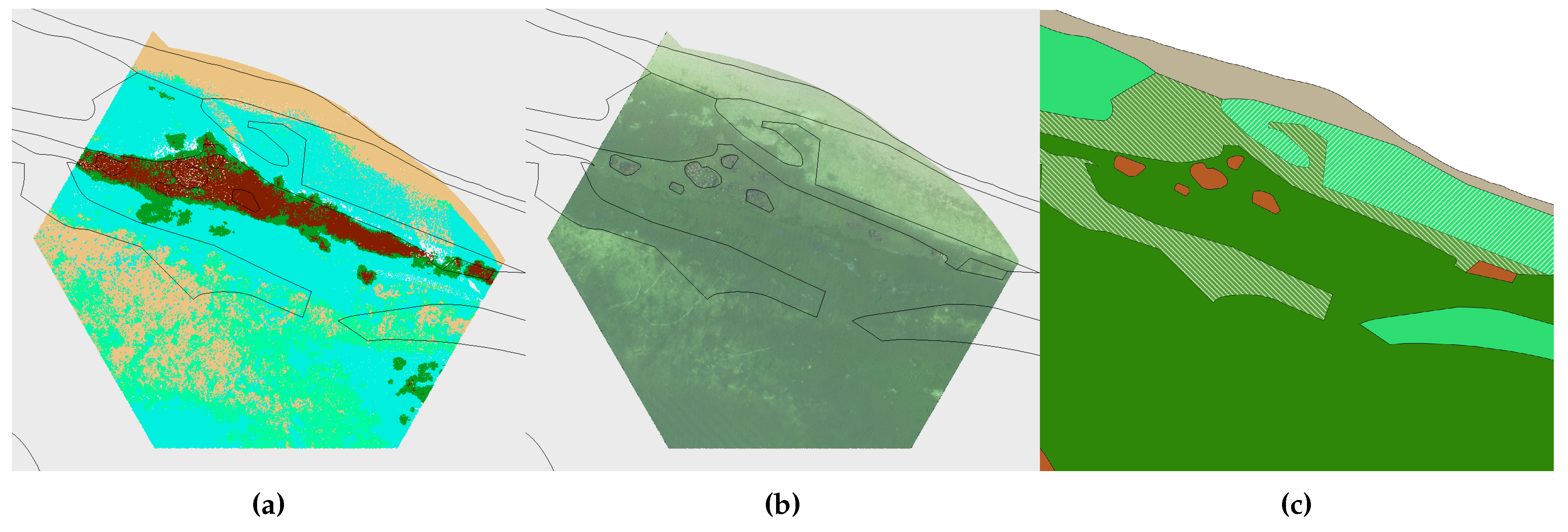 Preprints 106837 g0a12