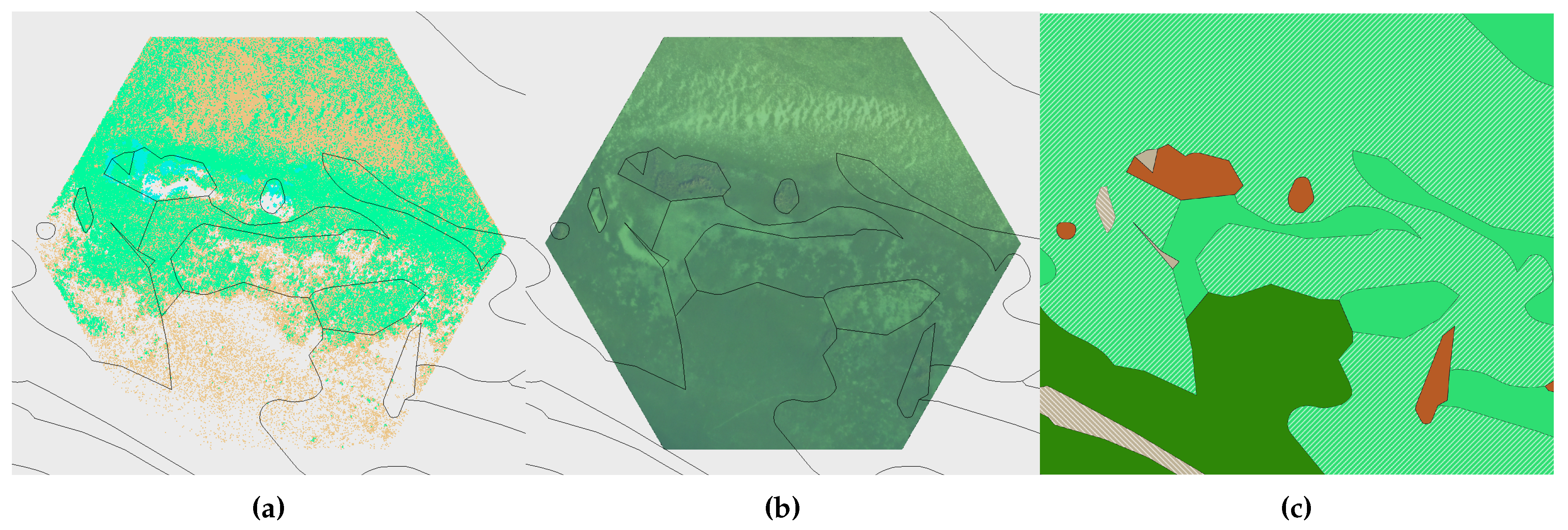 Preprints 106837 g0a14