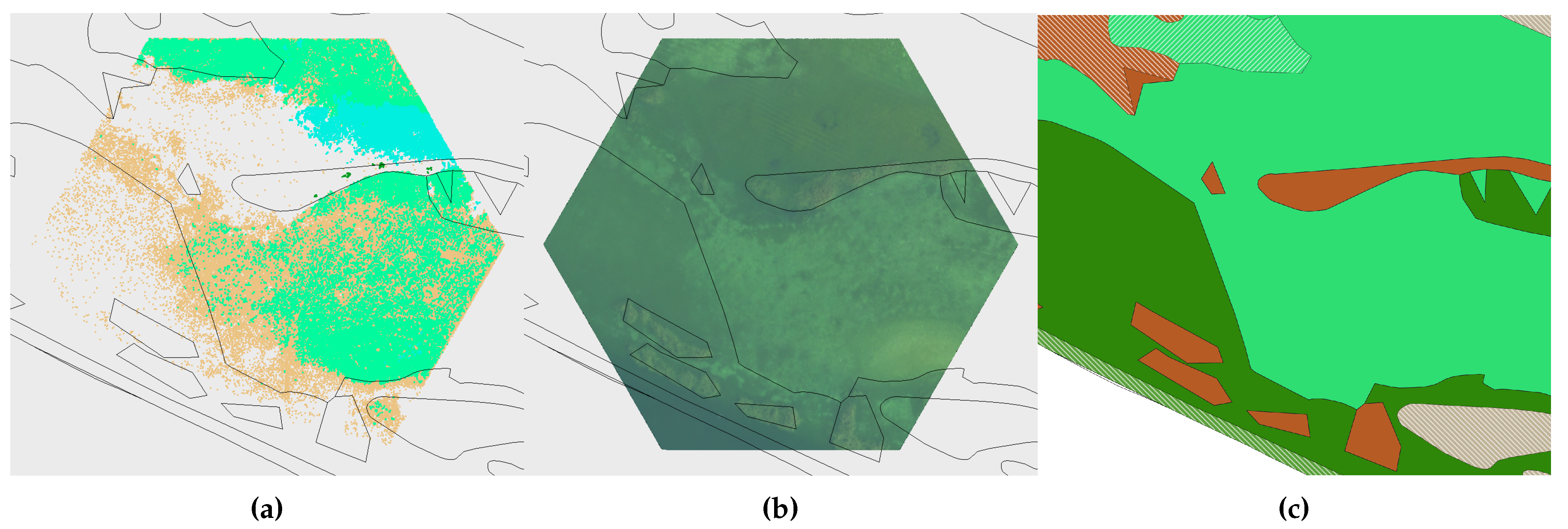 Preprints 106837 g0a16