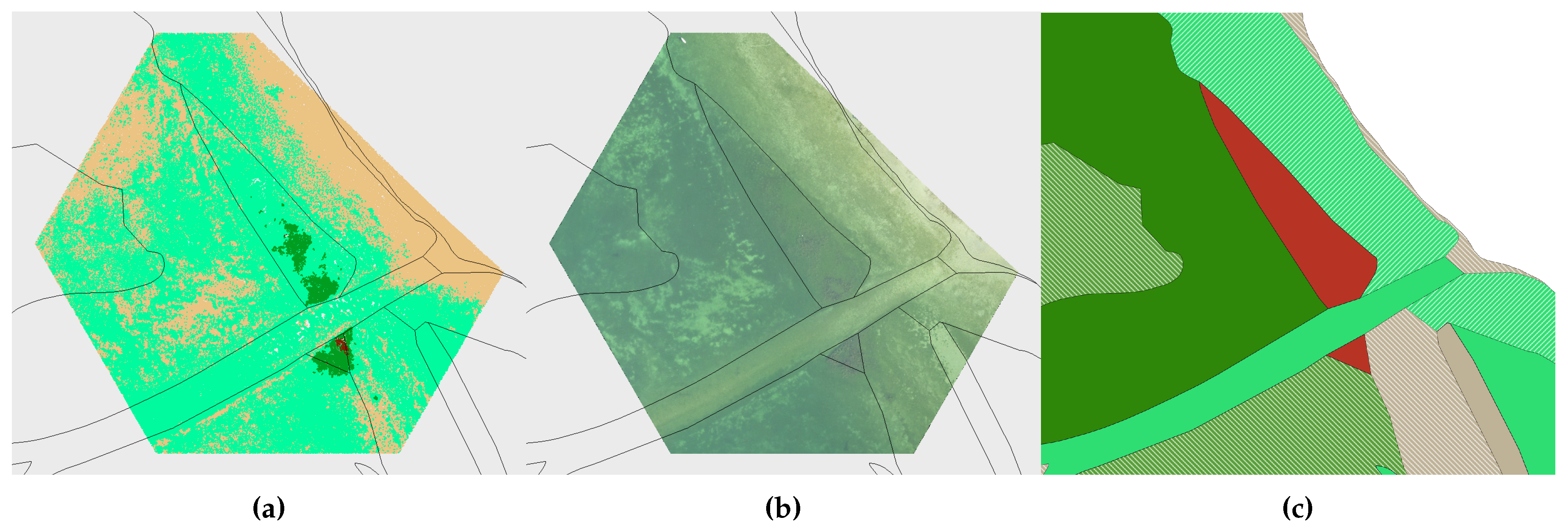 Preprints 106837 g0a2