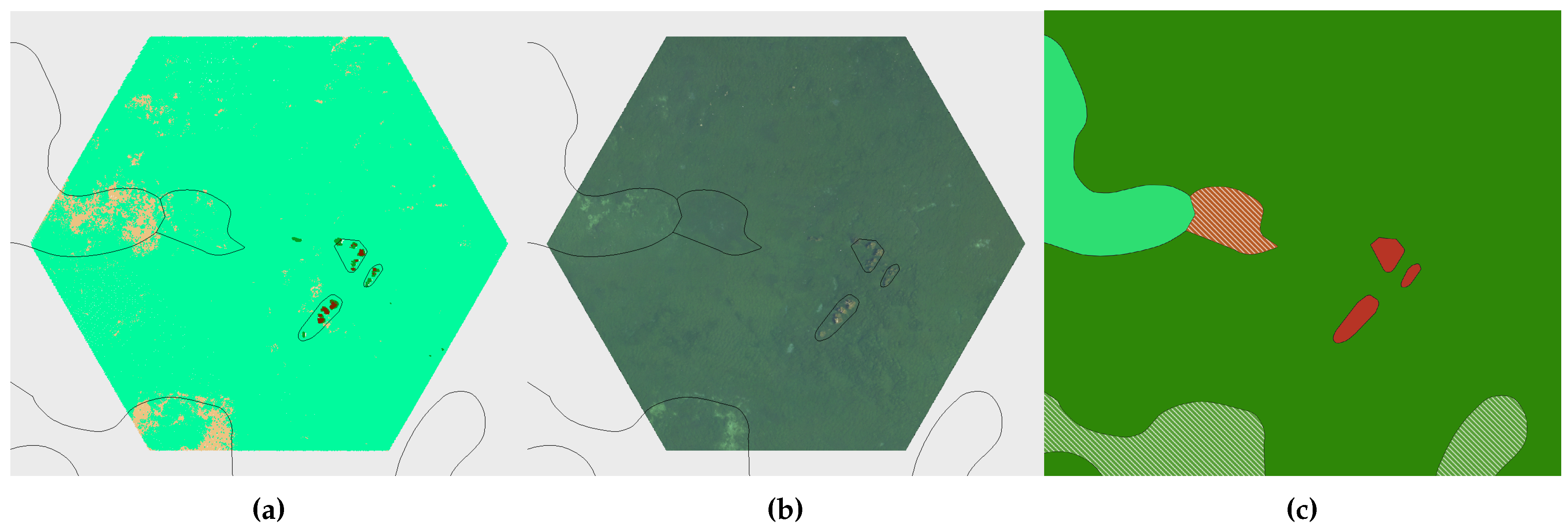 Preprints 106837 g0a6