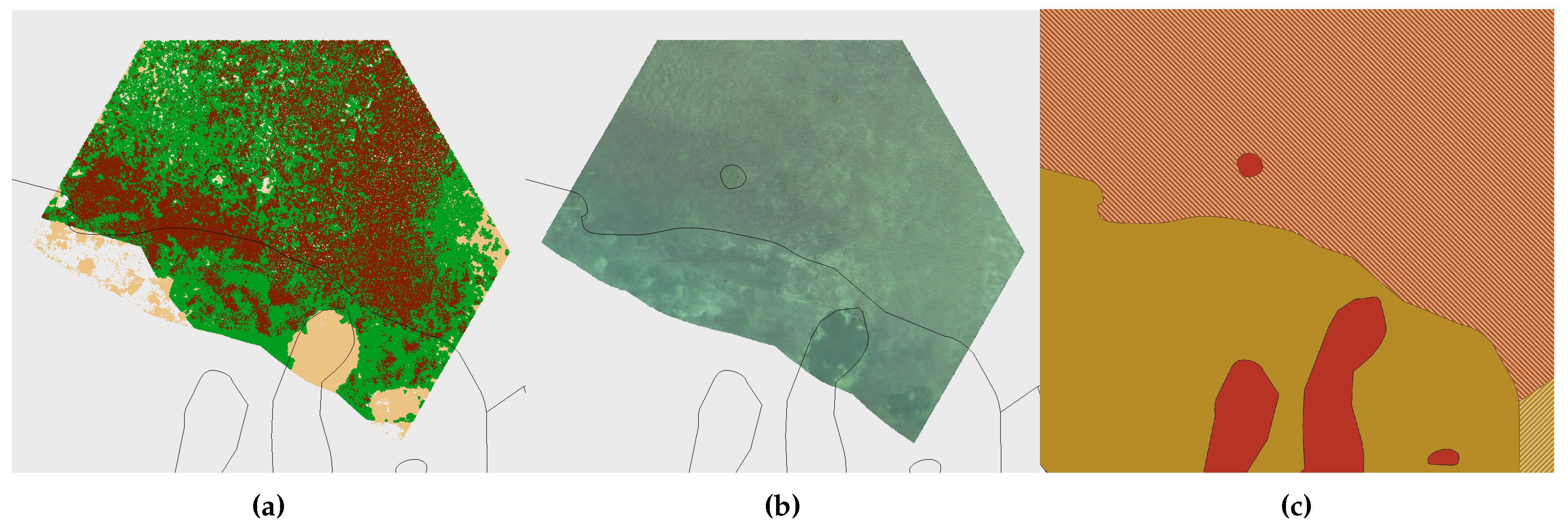 Preprints 106837 g0a8