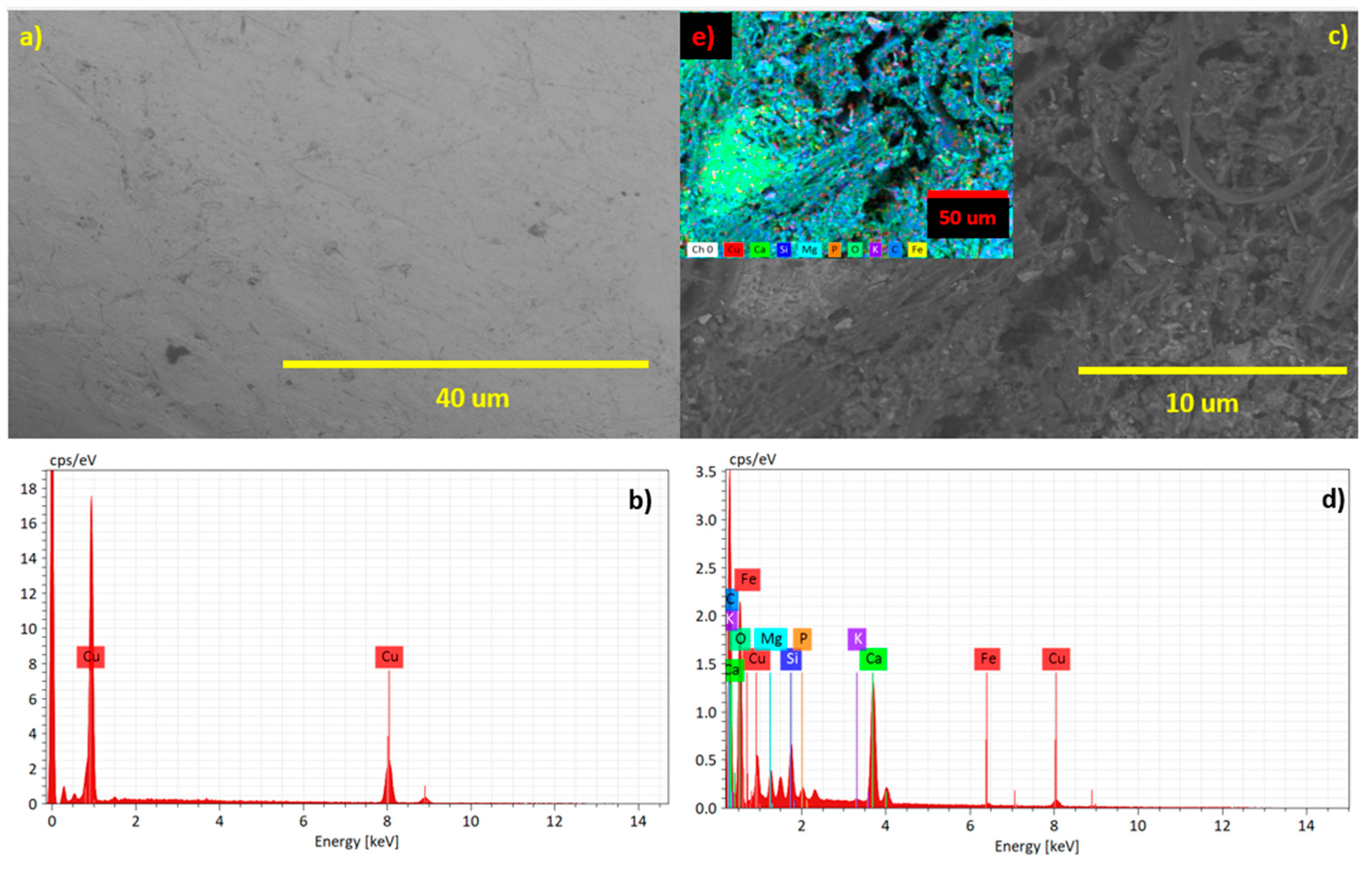 Preprints 82997 g006