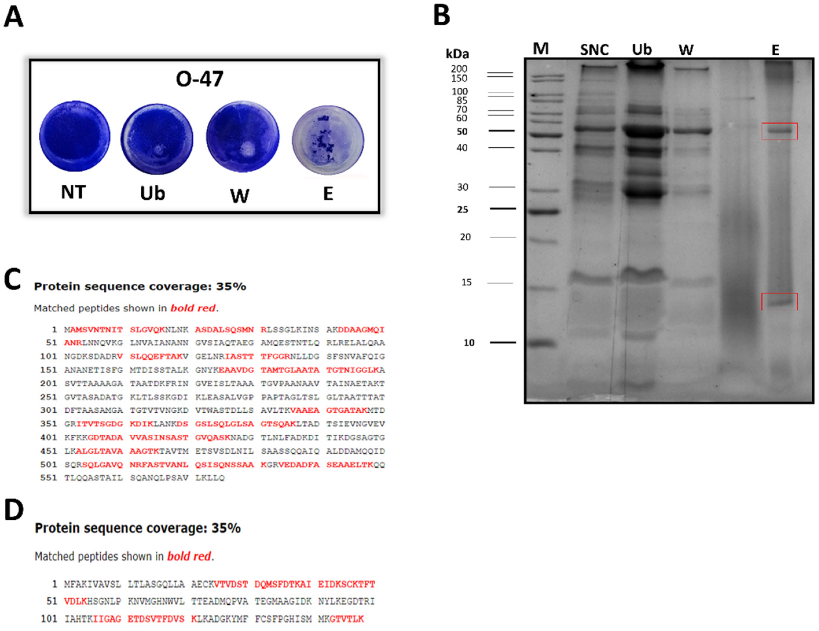 Preprints 95226 g002