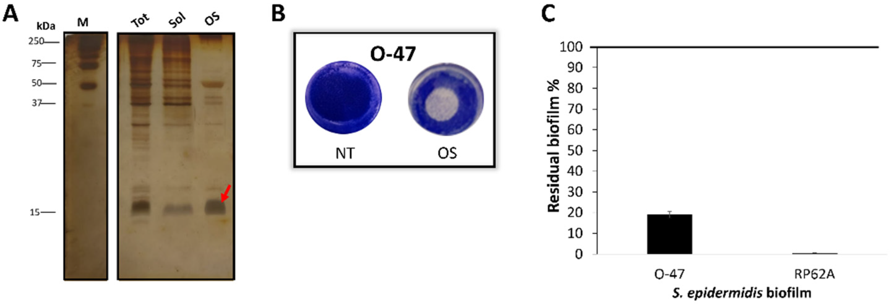 Preprints 95226 g003