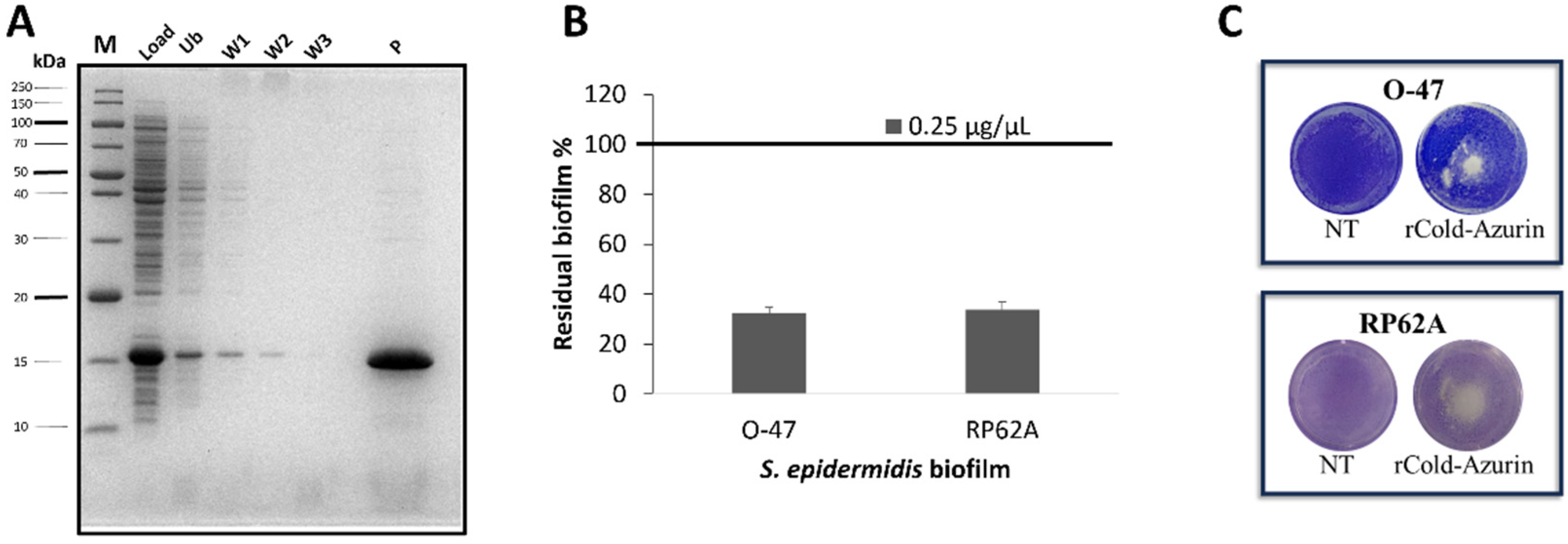 Preprints 95226 g004