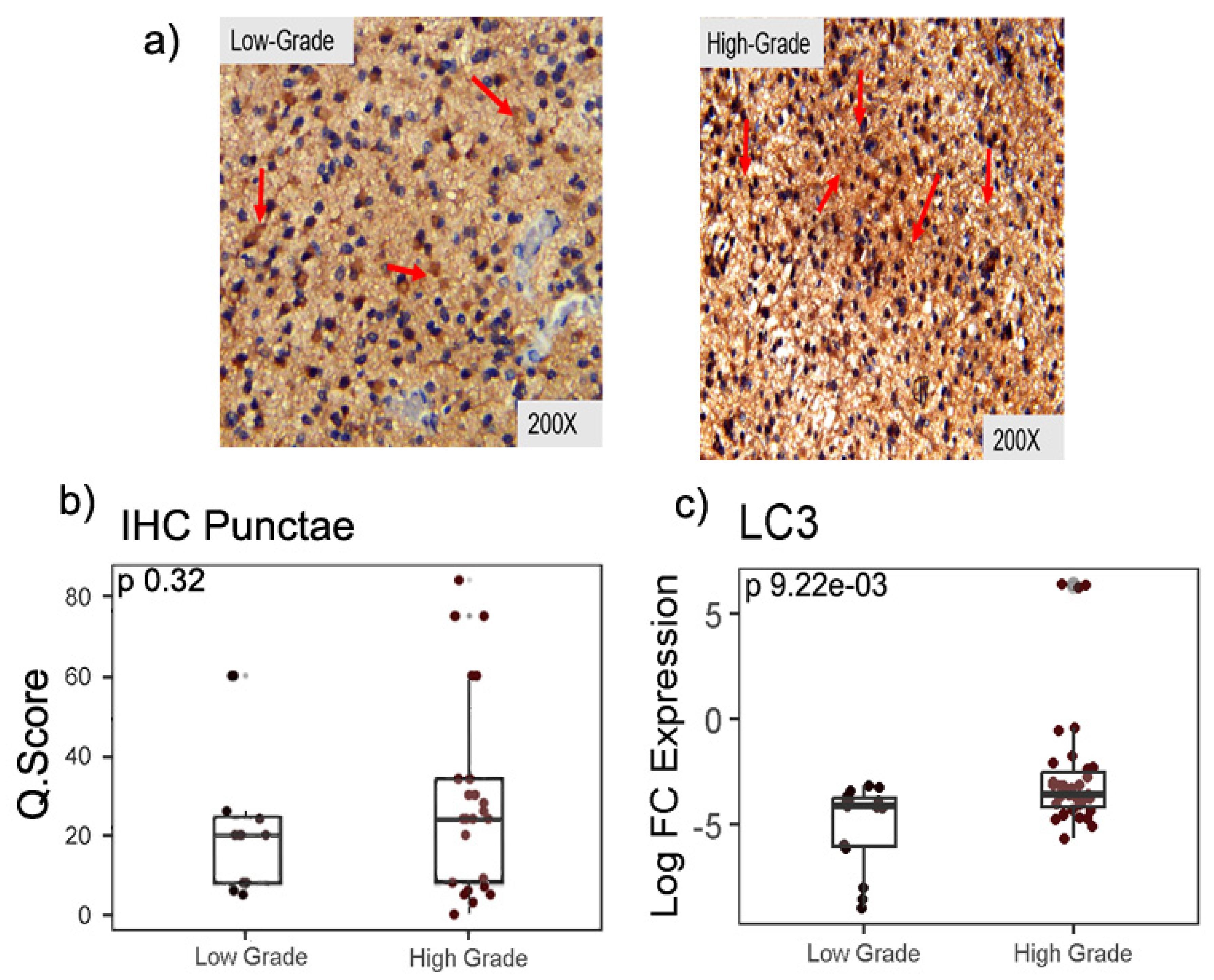 Preprints 83285 g001