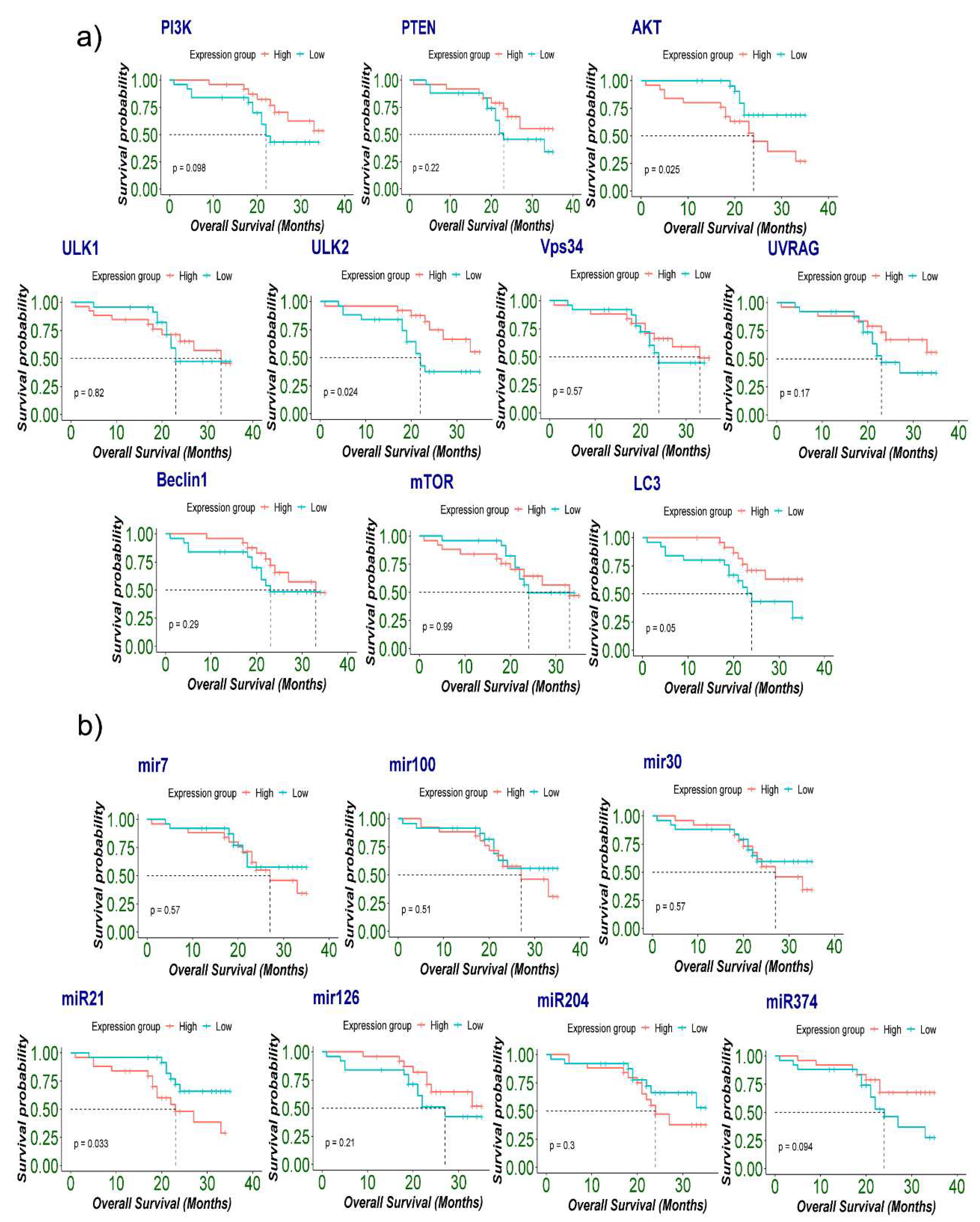 Preprints 83285 g005