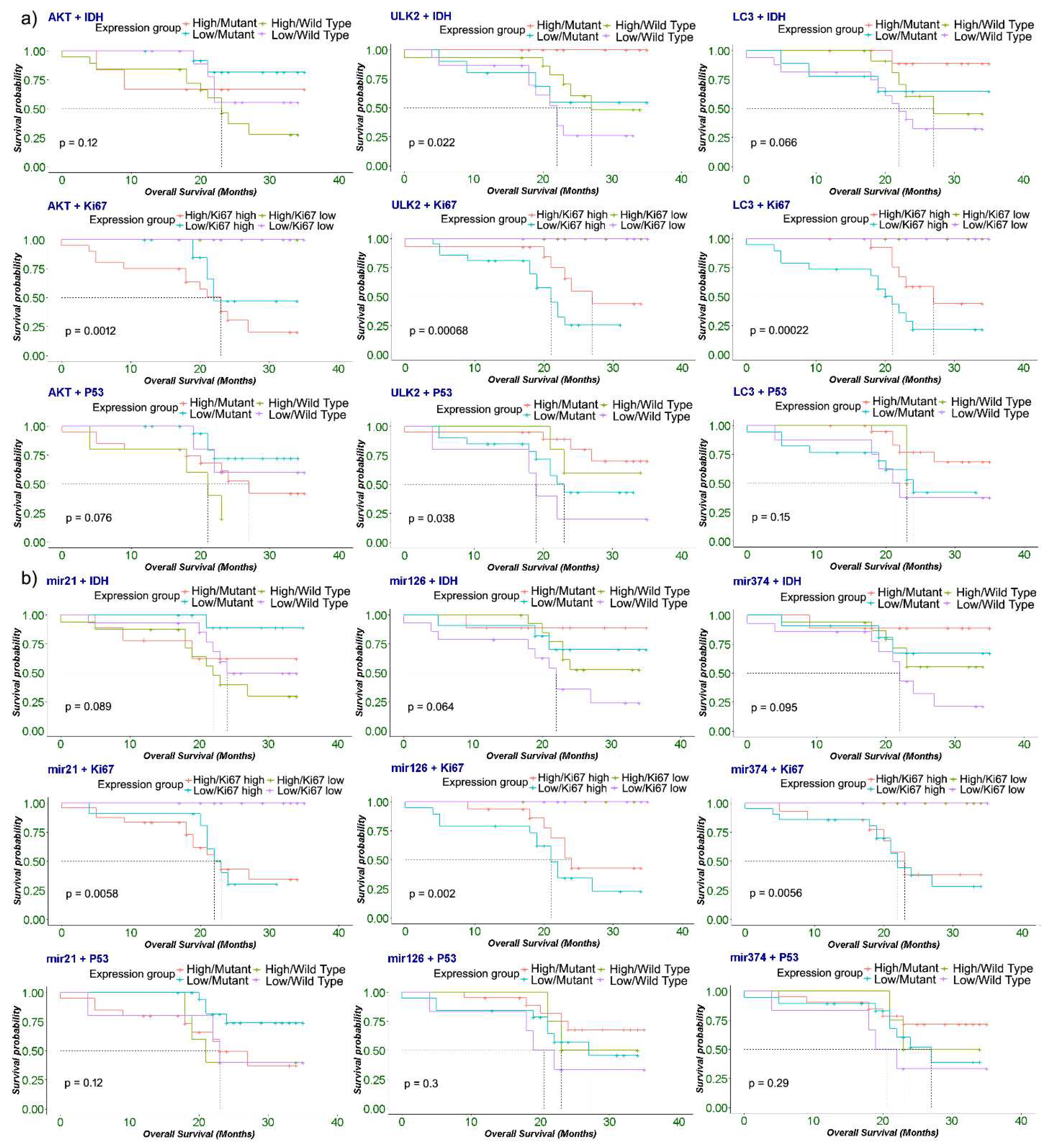 Preprints 83285 g006