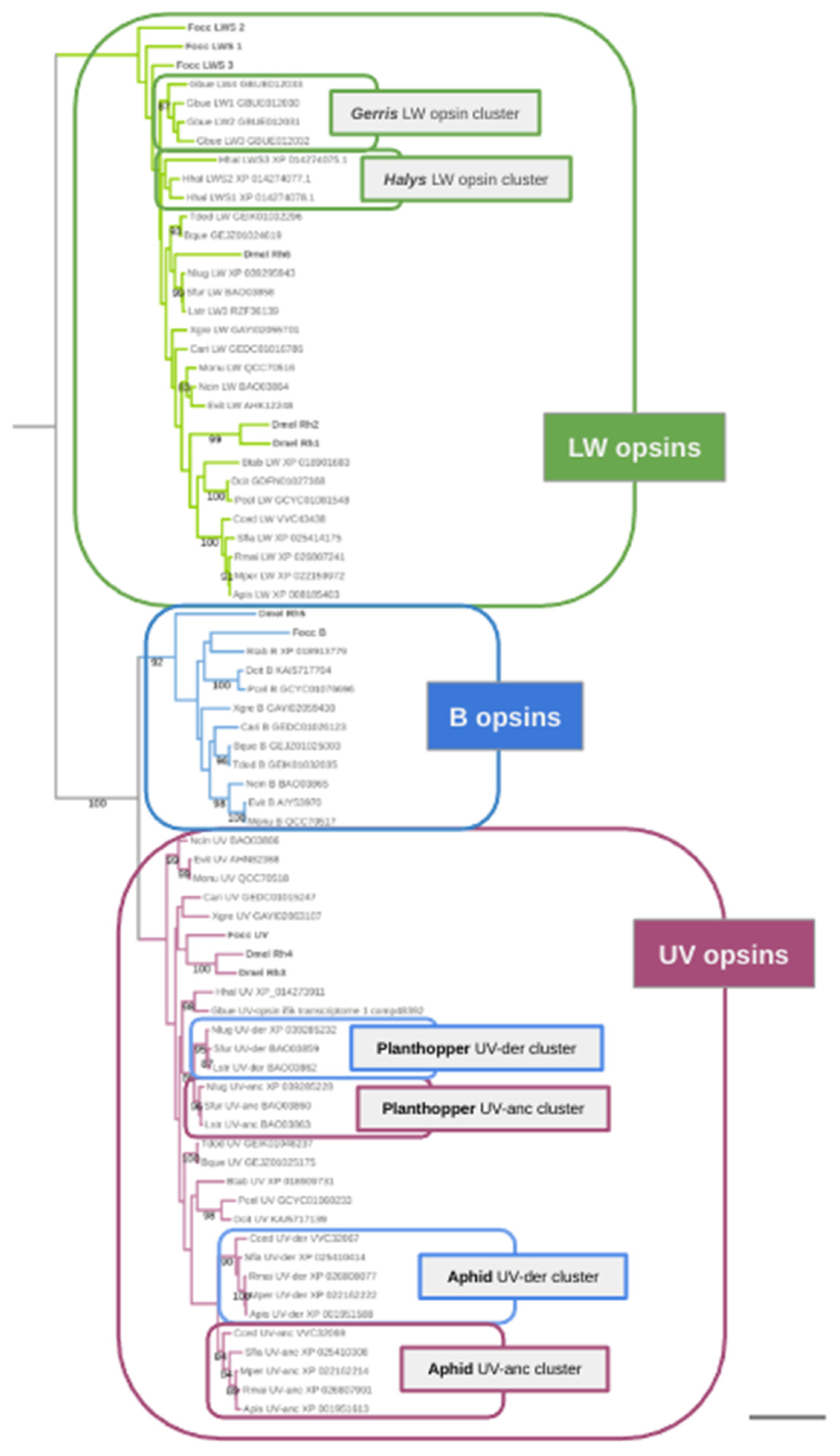 Preprints 77547 g001