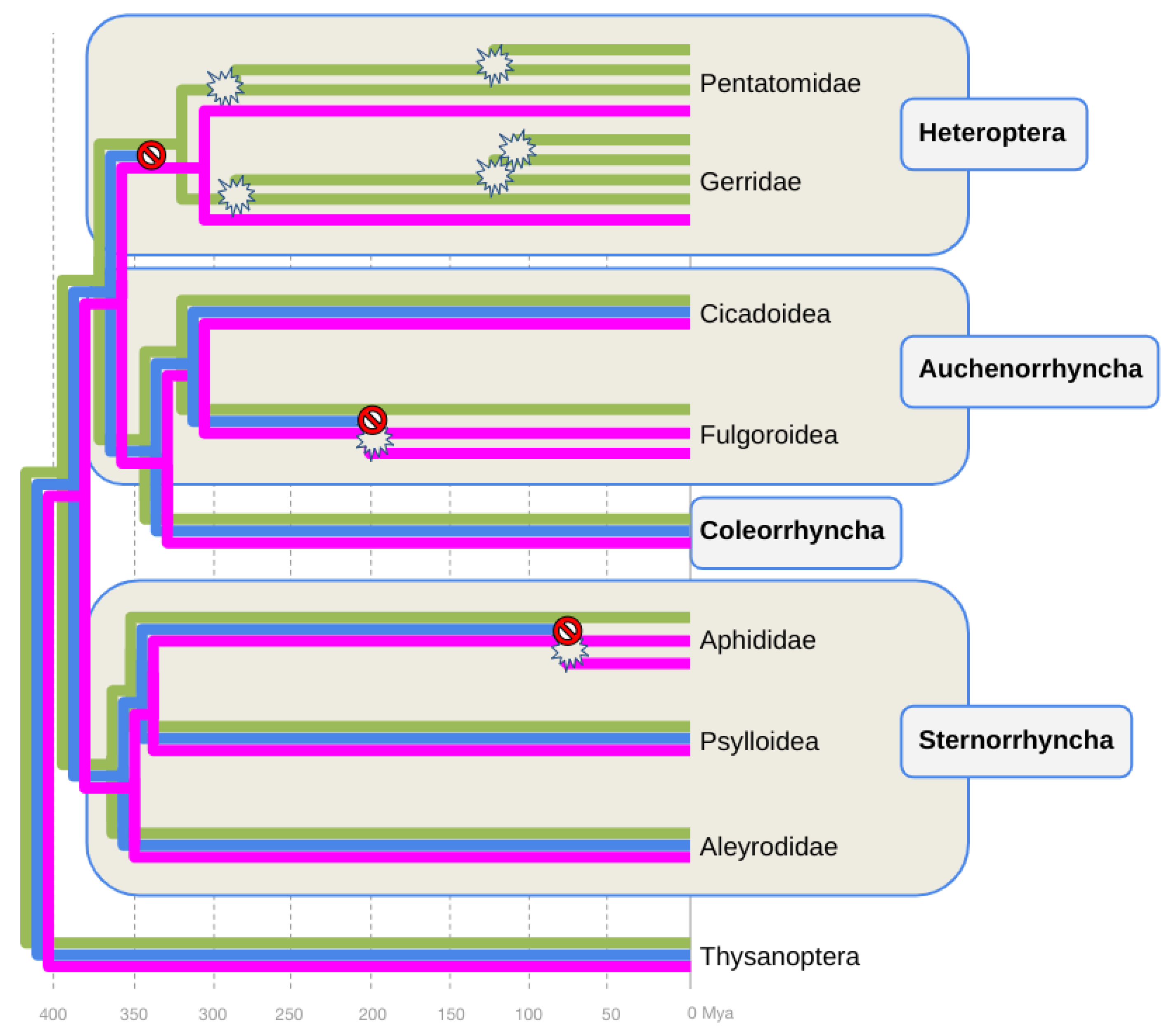 Preprints 77547 g002