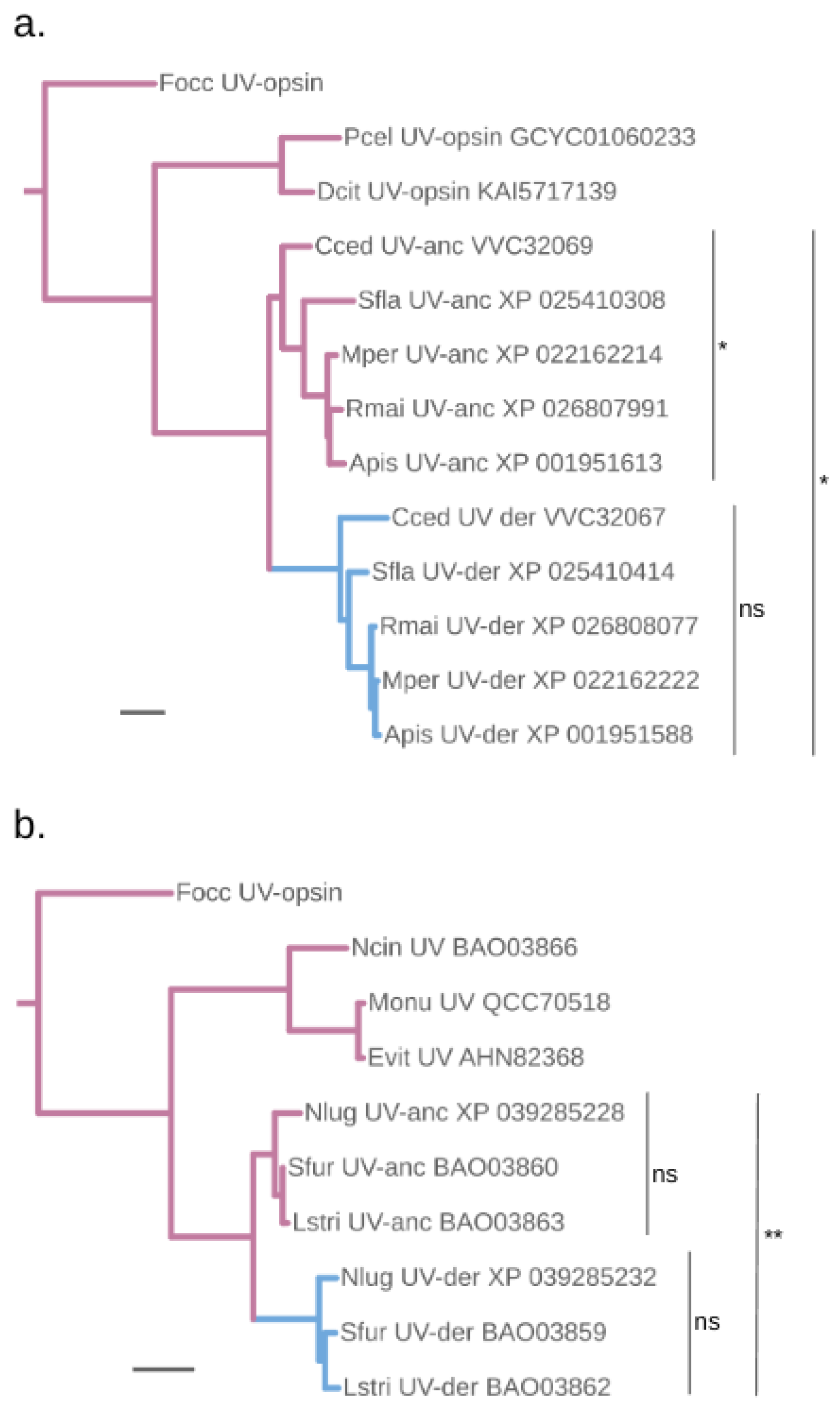 Preprints 77547 g003