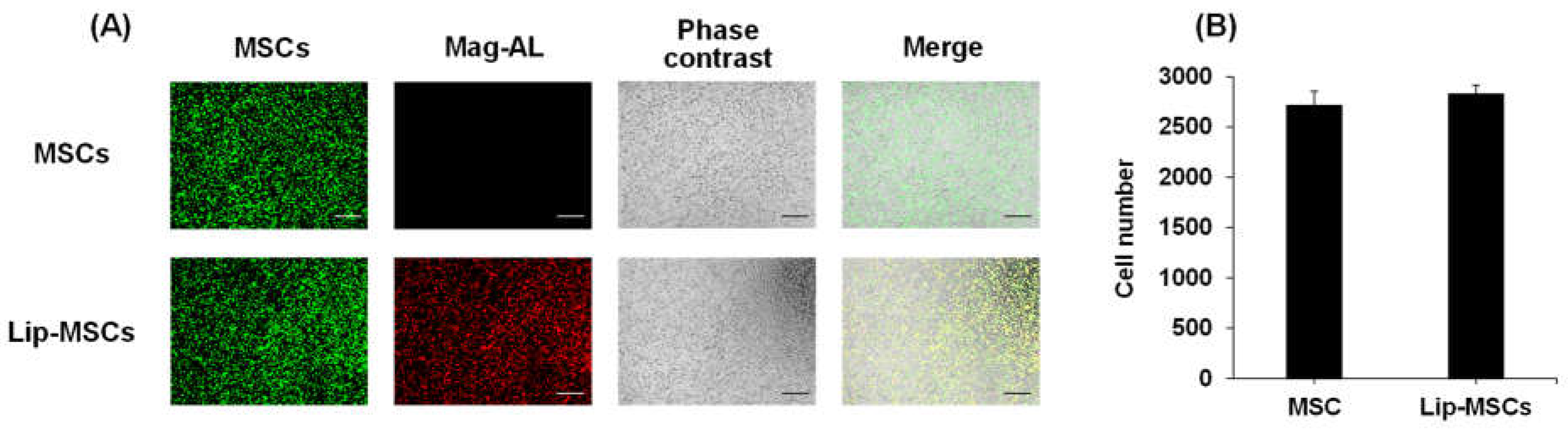 Preprints 68332 g005