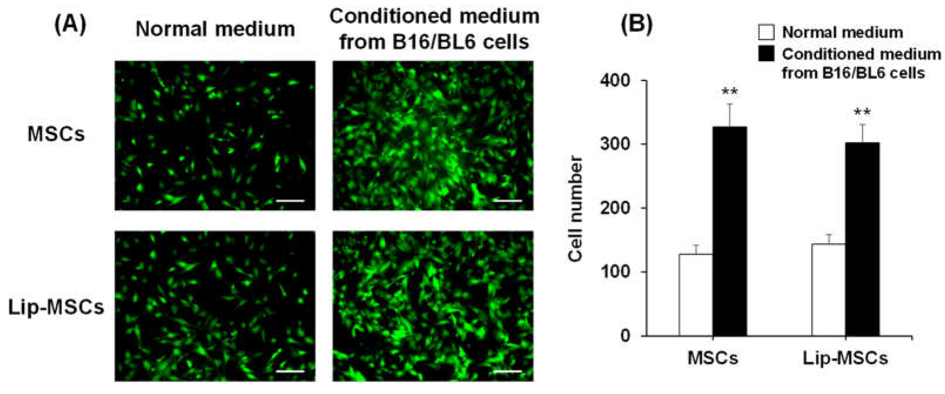 Preprints 68332 g006