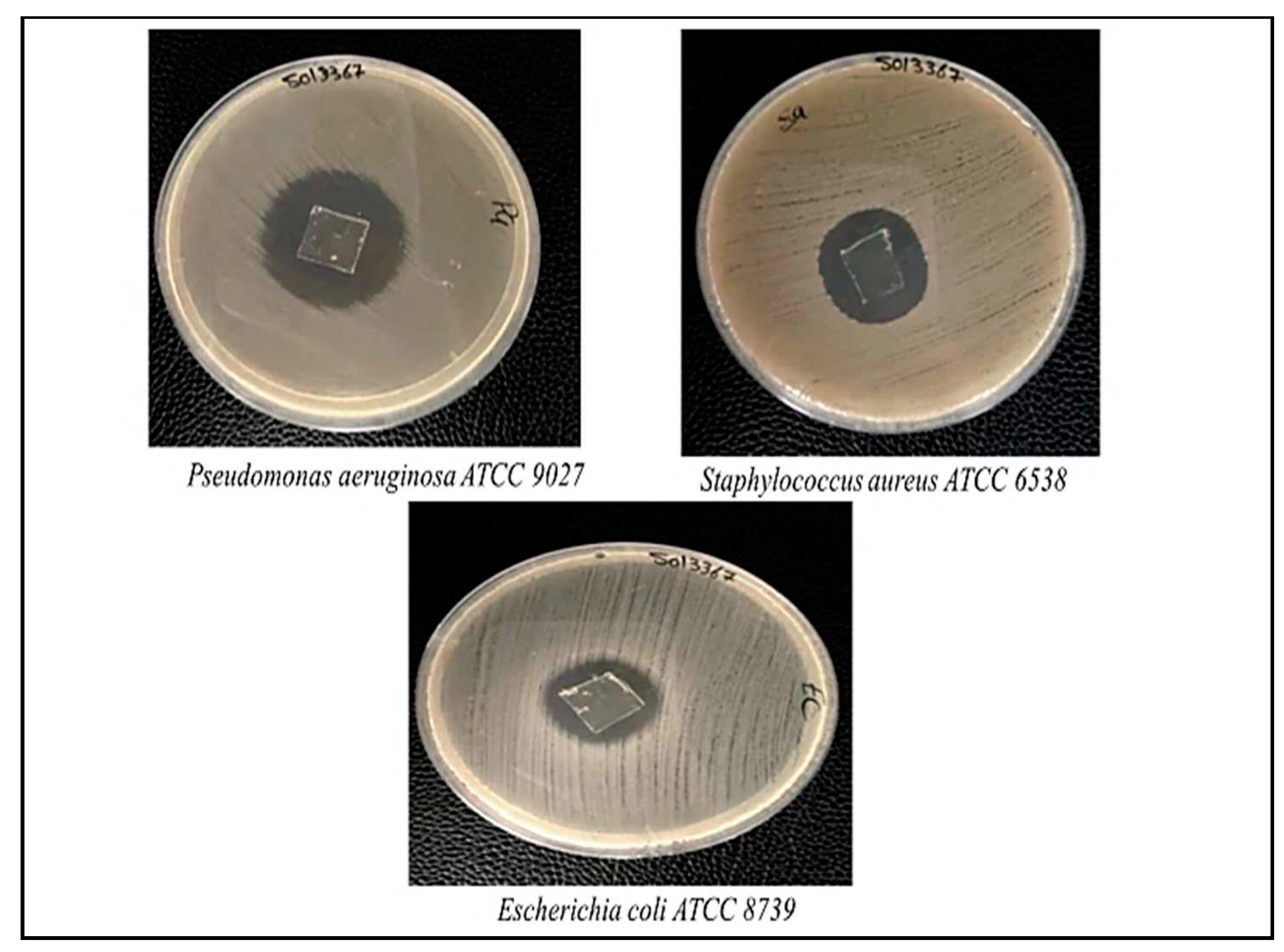 Preprints 87619 g007