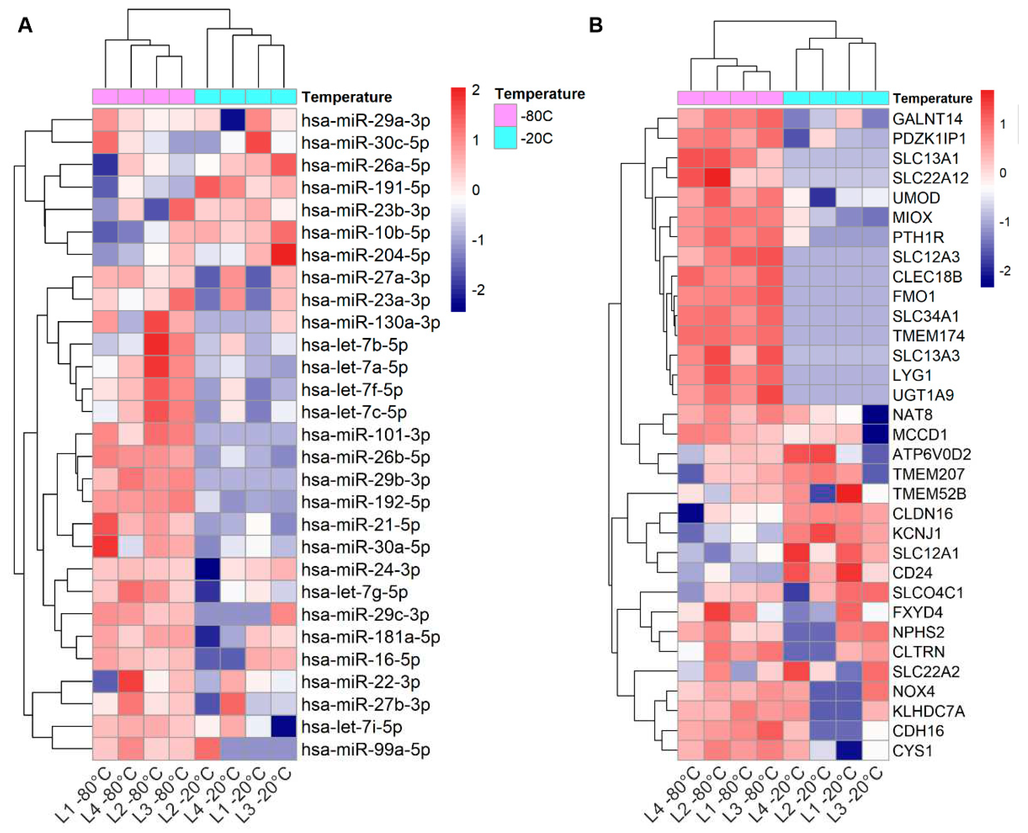 Preprints 75003 g001