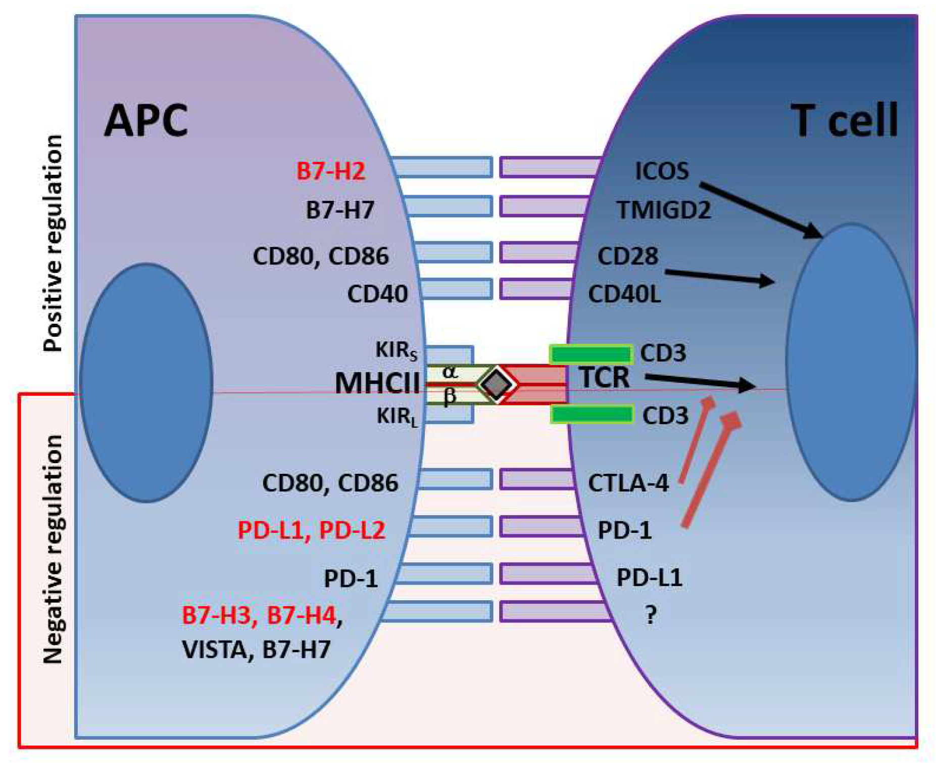 Preprints 71303 g001