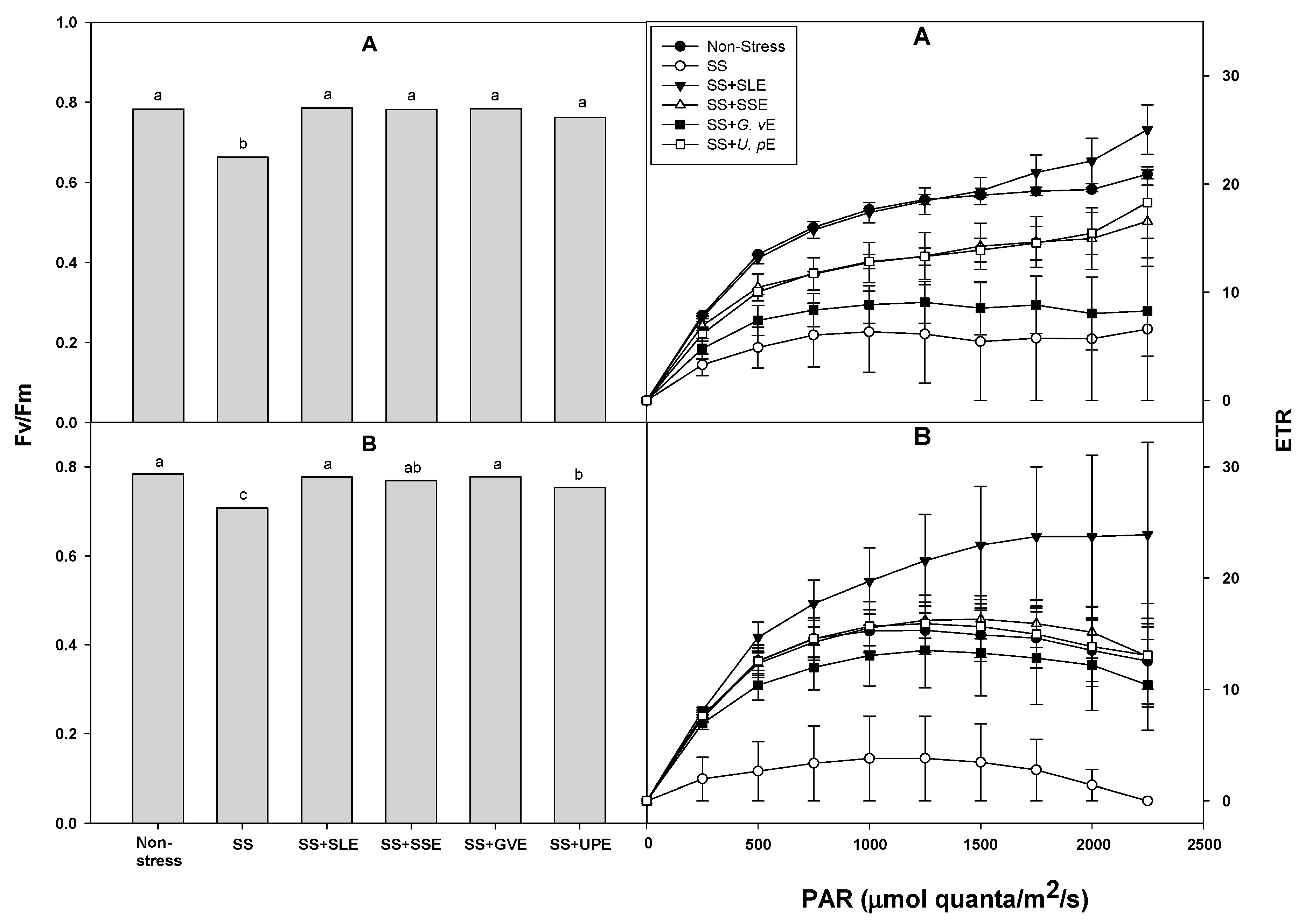 Preprints 96034 g003