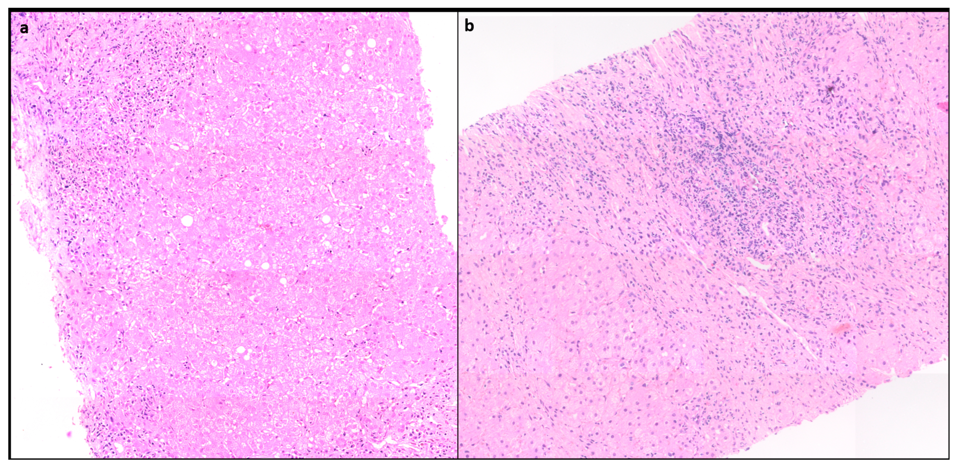 Preprints 91884 g001