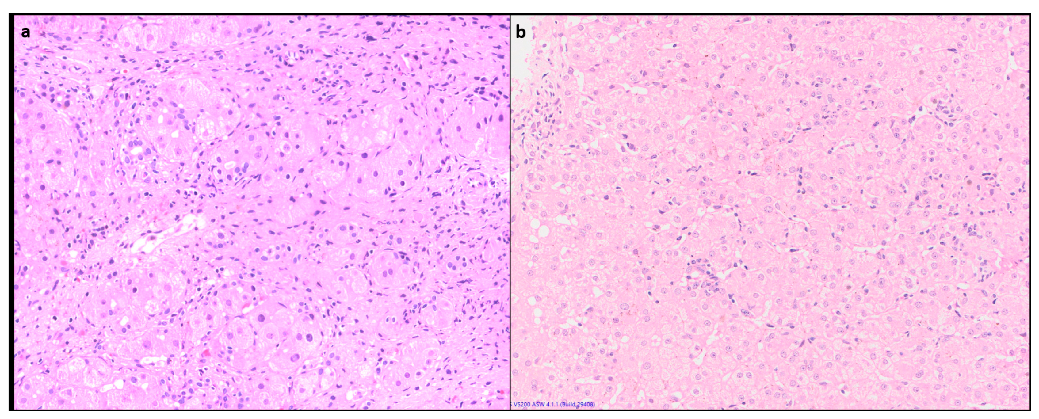 Preprints 91884 g002