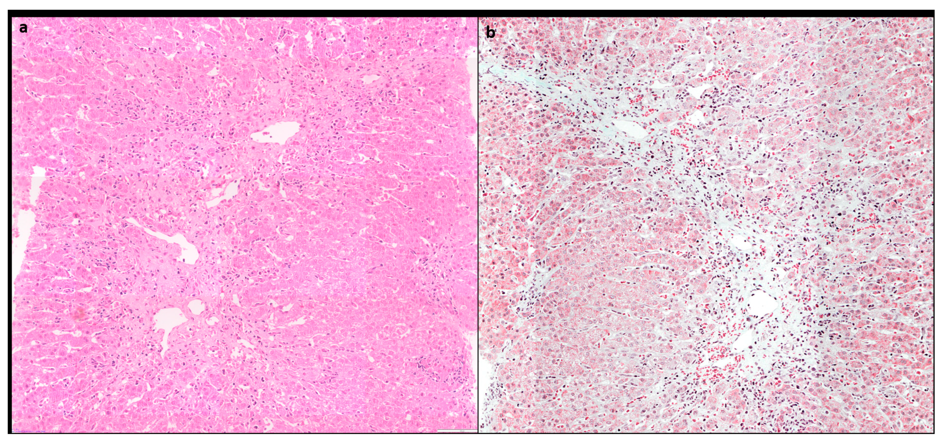 Preprints 91884 g003