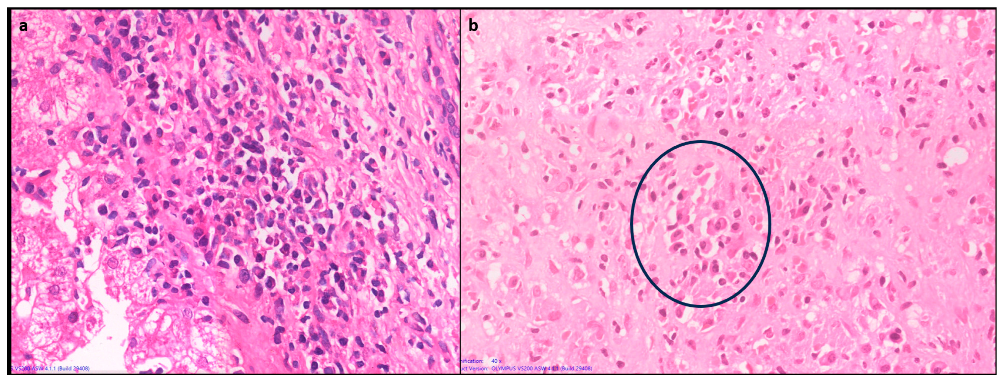 Preprints 91884 g004