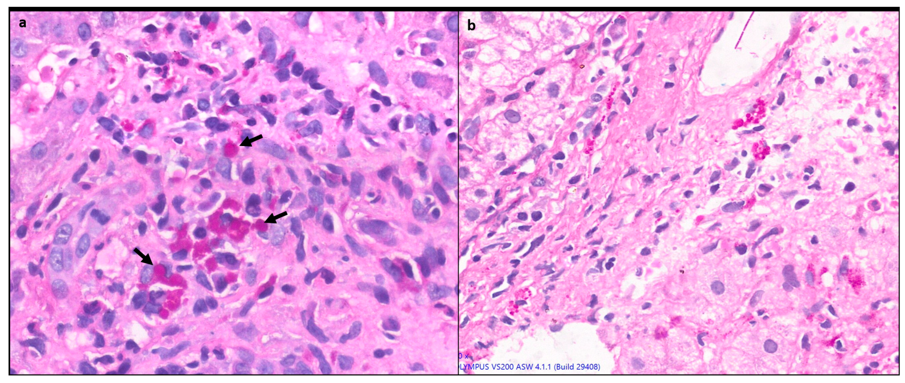 Preprints 91884 g006