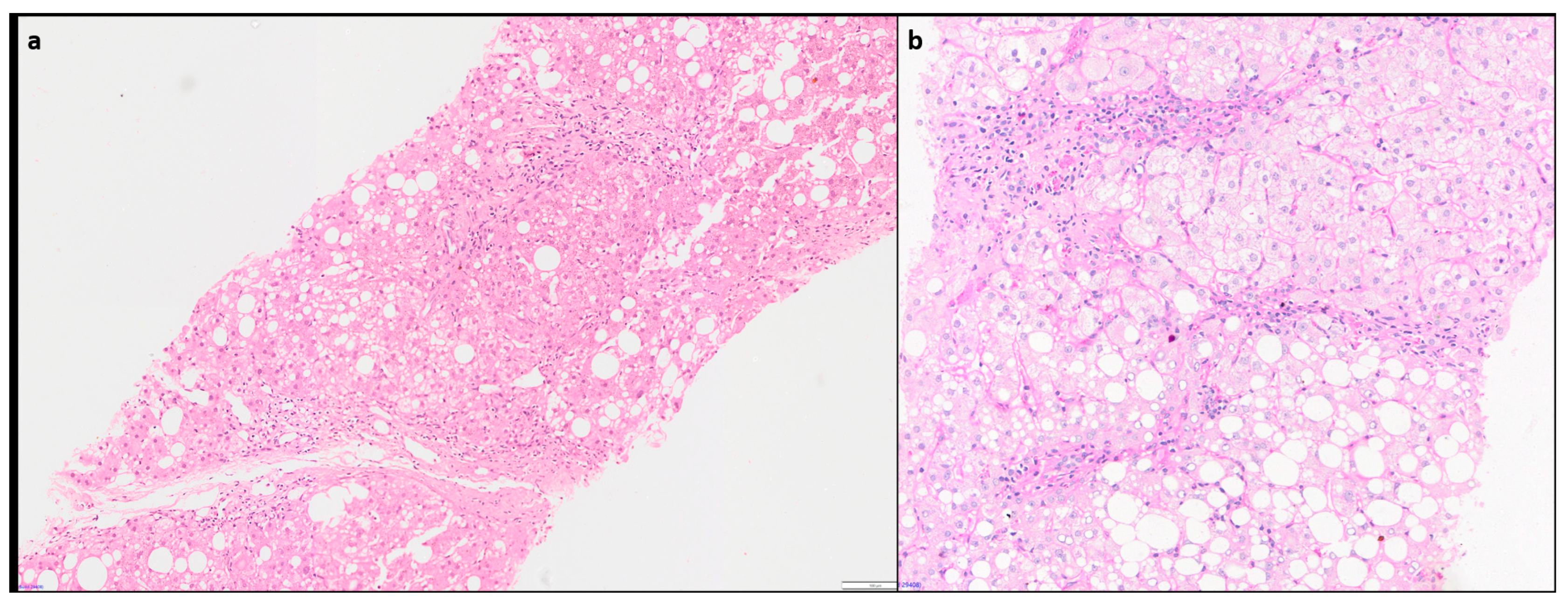 Preprints 91884 g007