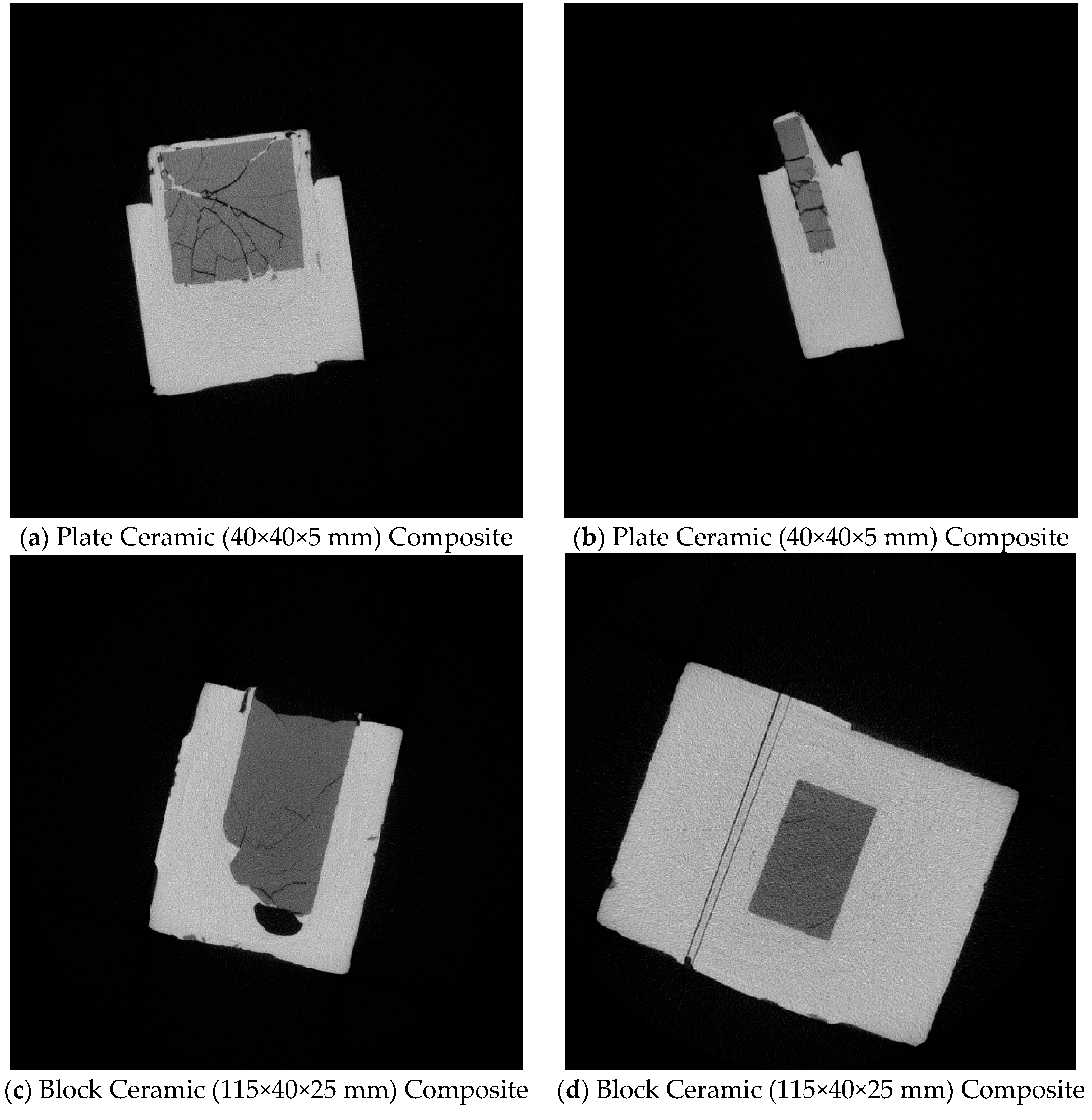 Preprints 114628 g004